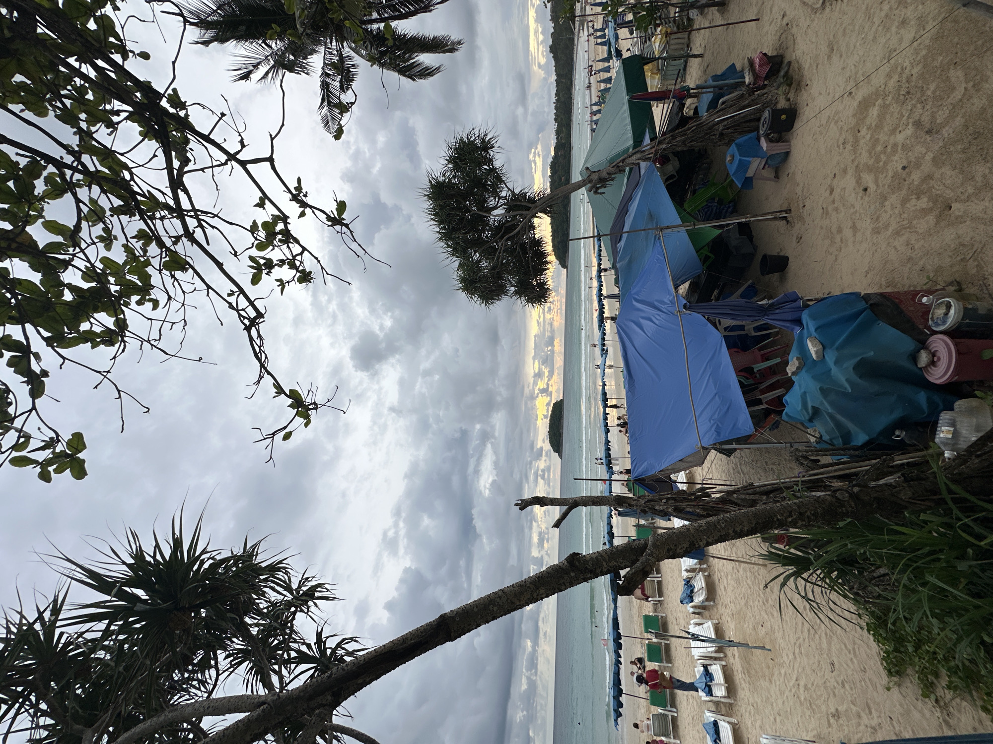 This media file captures a beach scene in Karon, Thailand, during what appears to be late afternoon or early evening due to the soft, diffused light and the colors of the sky. The weather seems overcast, with dramatic clouds filling the sky, but there are hints of sunset colors, possibly yellow and orange, breaking through on the horizon.
The foreground is dominated by the sandy beach, with numerous lounge chairs neatly arranged, some covered with blue or green tarps. There are also several makeshift stalls or shelters with blue and green fabric coverings, suggesting a commercial area on the beach where vendors might operate. Some objects, like buckets and what appear to be rolled materials, are visible near these stalls.
In the midground, the ocean is visible, with gentle waves. Further out, a few people can be seen in the water and on the beach, indicating a leisurely atmosphere. A small, tree-covered island or rock formation is visible in the distance on the ocean.
The scene is framed by lush tropical foliage, with palm fronds and other leafy branches arching over the top and sides of the image. A distinct pandanus-like tree with spiky leaves is also prominent. The overall mood is serene and tranquil, despite the overcast sky, suggesting a quiet moment at the end of the day. No visible text is present in the image.
