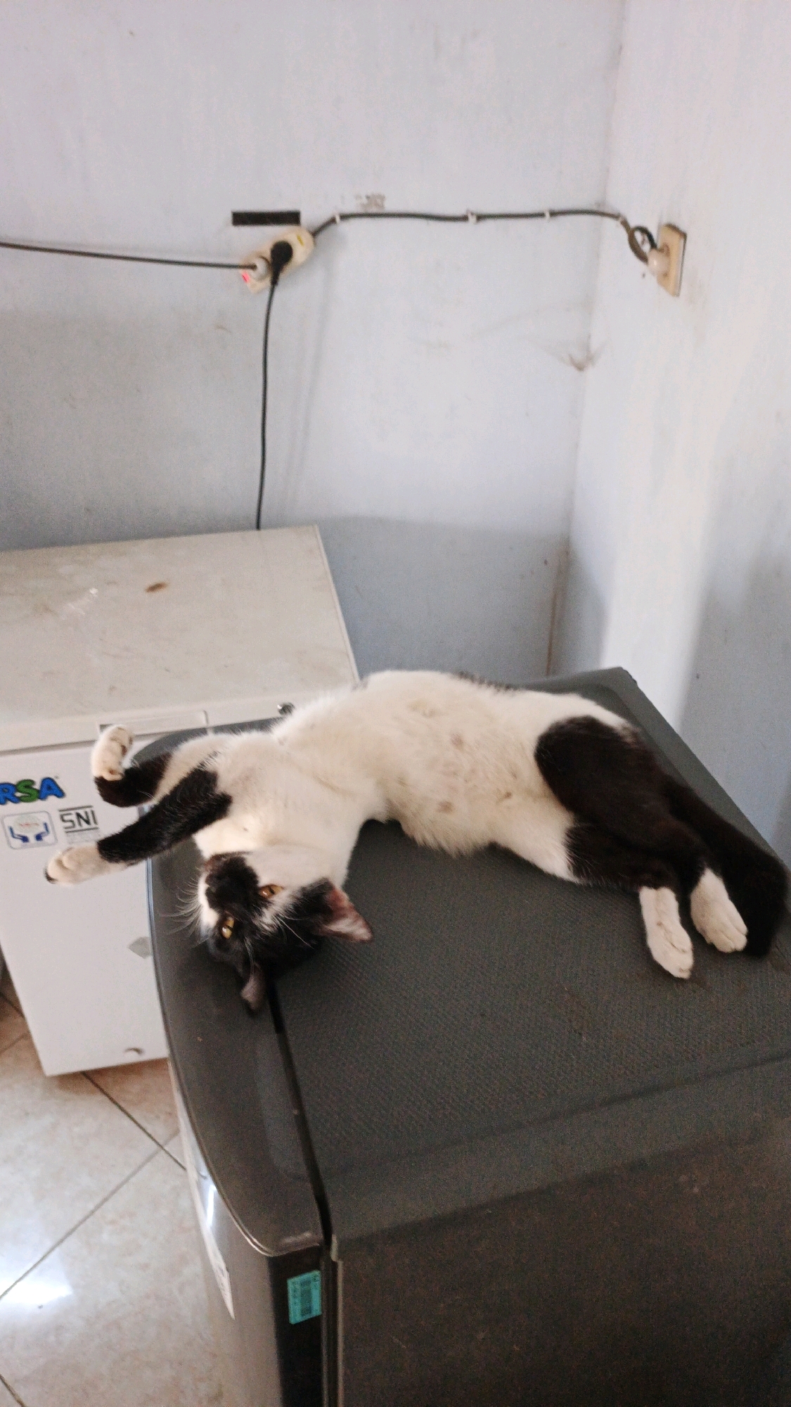 A black and white cat is lying stretched out on top of a dark gray appliance, possibly a refrigerator or washing machine. The cat is on its back with its legs splayed out. It has a black head with white markings and yellow eyes. The appliance is positioned on a tiled floor in what appears to be a room with white walls. Electrical wires and outlets are visible on the wall in the background. A white appliance with "RSA" and "SNI" logos is partially visible to the left of the cat. The scene appears to be indoors in a residential setting. The location is identified as Campurdarat, Indonesia.