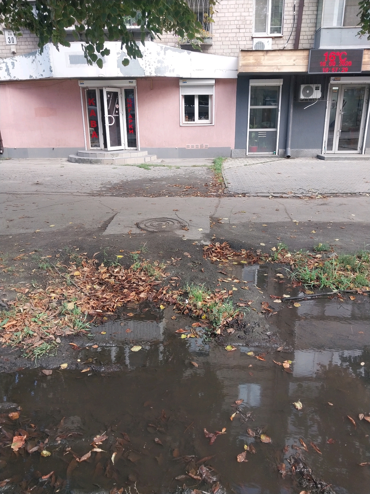 The image depicts a street scene in Dnipro, Ukraine, with a focus on a section of a building and the ground in front of it. The building has a pink-colored facade on the left, with a glass door entrance featuring red lettering that reads "КАВА" (Coffee). To the right of the pink section, the building is gray, with a glass door entrance and a digital display showing "16°C" and other text. The ground in front of the building is a paved sidewalk and a muddy area with fallen autumn leaves and a large puddle of murky water reflecting the buildings. There are also some green tufts of grass growing in the muddy patches. The scene appears to be in an urban setting, possibly a commercial area.