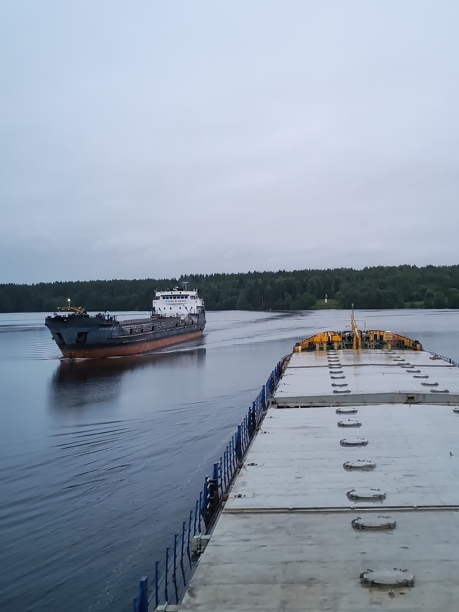 A wide shot captures two large cargo ships navigating a calm body of water under an overcast sky. In the foreground, the deck of one ship is visible, featuring a light-colored surface with numerous metal hatches and a blue railing. The stern of this vessel faces the viewer, and its deck extends out of frame. Further ahead, a second, longer cargo ship, painted dark gray with a reddish-orange hull, moves away from the viewer. This ship has a white superstructure at its stern and appears to be traveling in the opposite direction or on a parallel course. The water surrounding the ships is dark and reflects the overcast sky and the vessels. On the horizon, a dense, dark green forest lines the shore, with a small white structure or beacon visible in the distance. The overall atmosphere is somber and tranquil, suggesting a twilight or early morning setting. The location is identified as Yalosar', Russia.