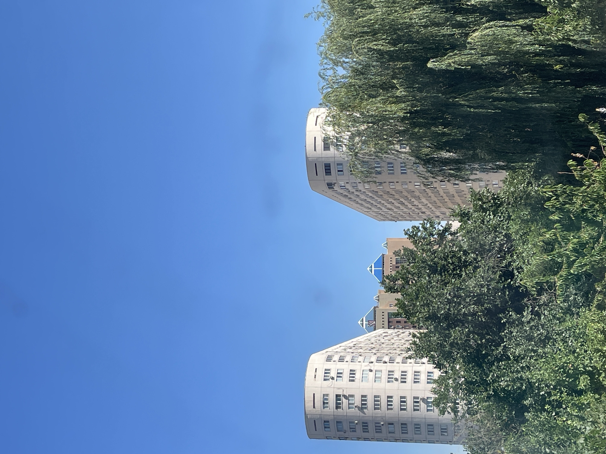 The image depicts a view of a residential area in Almaty, Kazakhstan, under a clear blue sky. Two modern, multi-story apartment buildings with white facades and numerous windows are prominent. The building on the left has a curved, rounded facade, while the one on the right is also curved but less pronounced. In the background, a smaller building with blue pyramidal roofs is visible, suggesting a distinct architectural style. In the foreground, lush green trees, including a large weeping willow on the right, partially obscure the view of the buildings. The scene is a typical urban landscape characterized by residential architecture and abundant greenery.