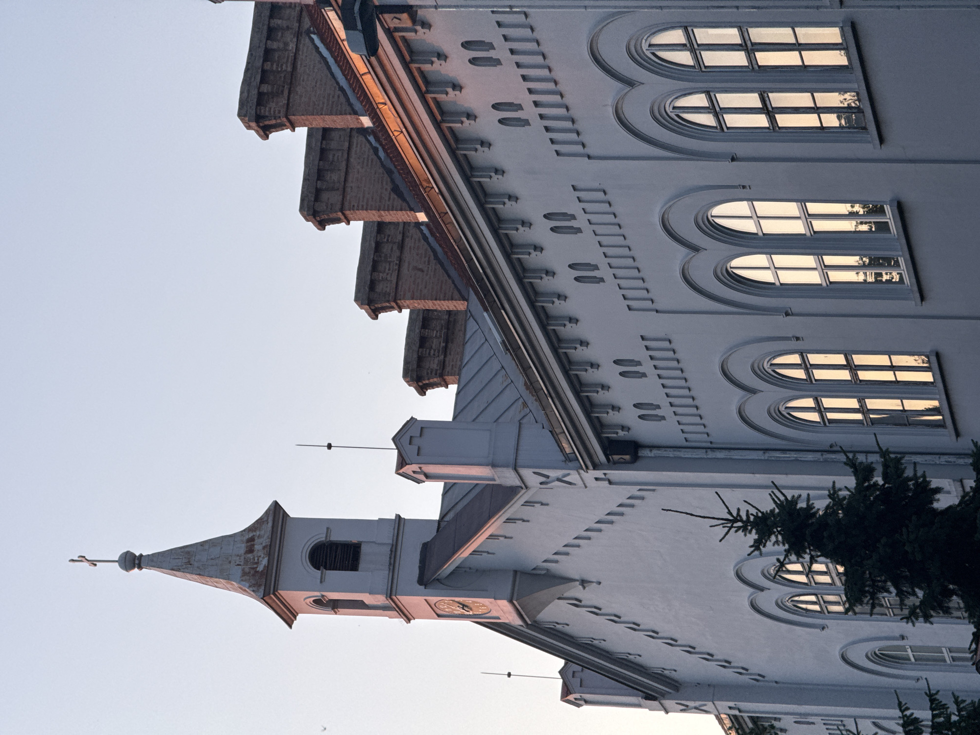 This is a medium shot, eye-level, exterior, daylight photograph of the Church of Saint Sava in Belgrade, Serbia. The church is painted white with red-tiled roofs. The building features a tall spire with a cross at its apex, a large clock face, arched windows with multiple panes, and decorative brickwork along the roofline. The sky is a clear, pale blue, suggesting it is either early morning or late afternoon. There are no people visible in the image. A dark green coniferous tree is situated in the foreground, partially obscuring the lower portion of the church. The overall impression is one of serene, architectural grandeur.