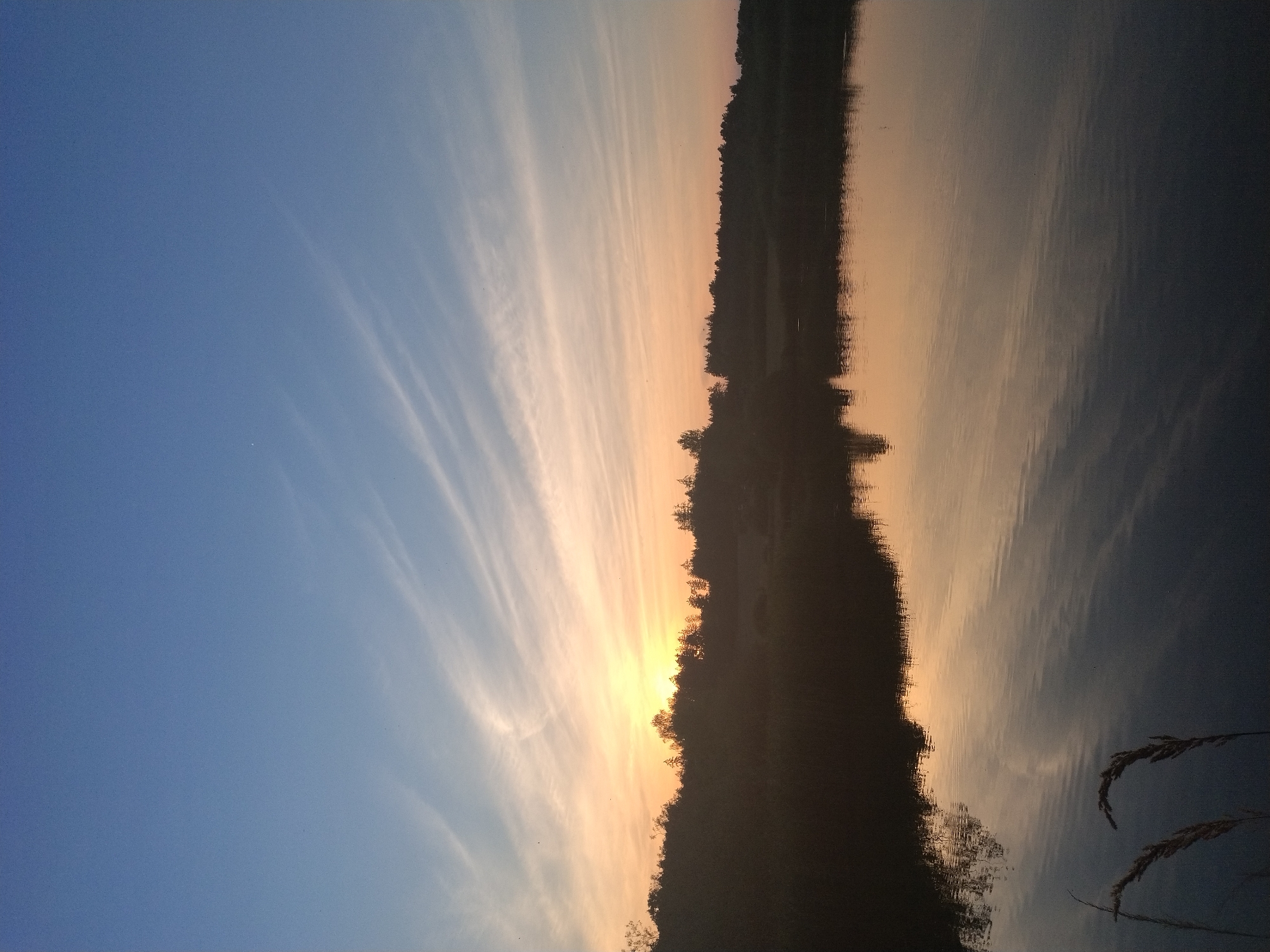 This is a landscape photograph taken at sunset in Dobev, Czechia. The image depicts a serene body of water reflecting the sky and a silhouetted treeline. The sky transitions from a deep blue at the top to shades of orange and yellow near the horizon, with wispy clouds streaking across. The water is calm, with gentle ripples disturbing the reflection of the trees and the sky. In the foreground, the tips of dry grass stalks are visible, adding a natural texture to the scene. The overall impression is one of tranquility and natural beauty at the close of day.