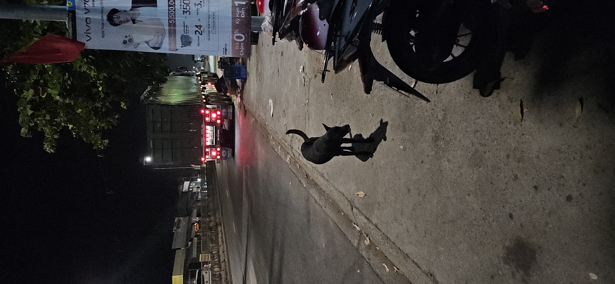 The image captures a nighttime scene on a street in Cam Đức, Vietnam. In the foreground, a black dog stands on a concrete sidewalk, casting a prominent shadow to its right, illuminated by an unseen light source. To the immediate right and slightly behind the dog, parts of a dark-colored motorcycle, including its front wheel and a burgundy helmet, are visible. The sidewalk shows some scattered debris and leaves.
In the midground, a large truck with its red taillights brightly illuminated is positioned on the road, suggesting it is either stopped or moving slowly. The truck bears the text "PATR" and a partial license plate "78RM 000-03". Further down the street, additional artificial lights are visible, indicating other vehicles or streetlights.
On the left side of the image, a tall advertising banner is partially obscured by dark green tree foliage. The banner promotes "vivo V70" and features a man holding a smartphone. Visible text on the banner includes pricing information like "5.500.000" and "350", along with offers such as "Bảo Hành 24", "Trả Chậm 0% Kỳ Hạn 1", and details about mobile data: "SG Viettel 15GB/15 Ngày Tốc Độ Cao". A red flag is attached near the top left of the banner pole. The overall setting is dark, characteristic of nighttime, with light sources primarily coming from the vehicles and the advertising sign.
