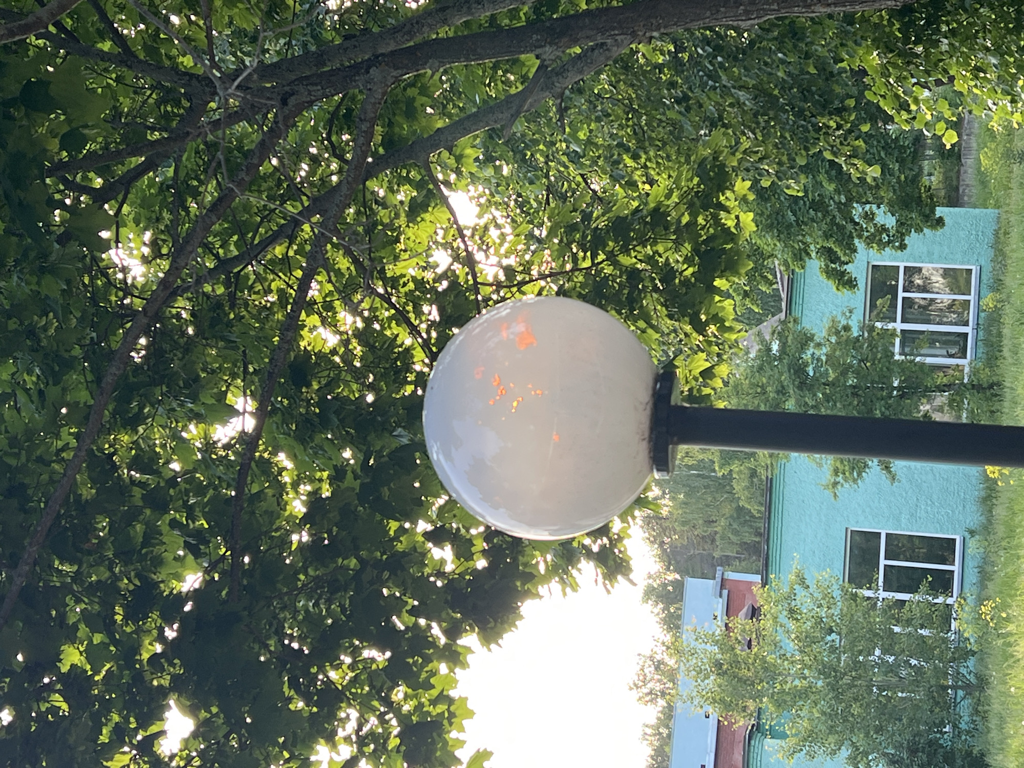 A low-angle shot of a streetlight with a spherical white globe, partially obscured by tree branches with green leaves. Sunlight filters through the leaves, creating a bright, dappled effect. In the background, a light blue building with white-framed windows is visible among the trees. The image seems to be taken outdoors in a residential or park-like setting. The lighting suggests it is either early morning or late afternoon. The location is Noviy, Russia.