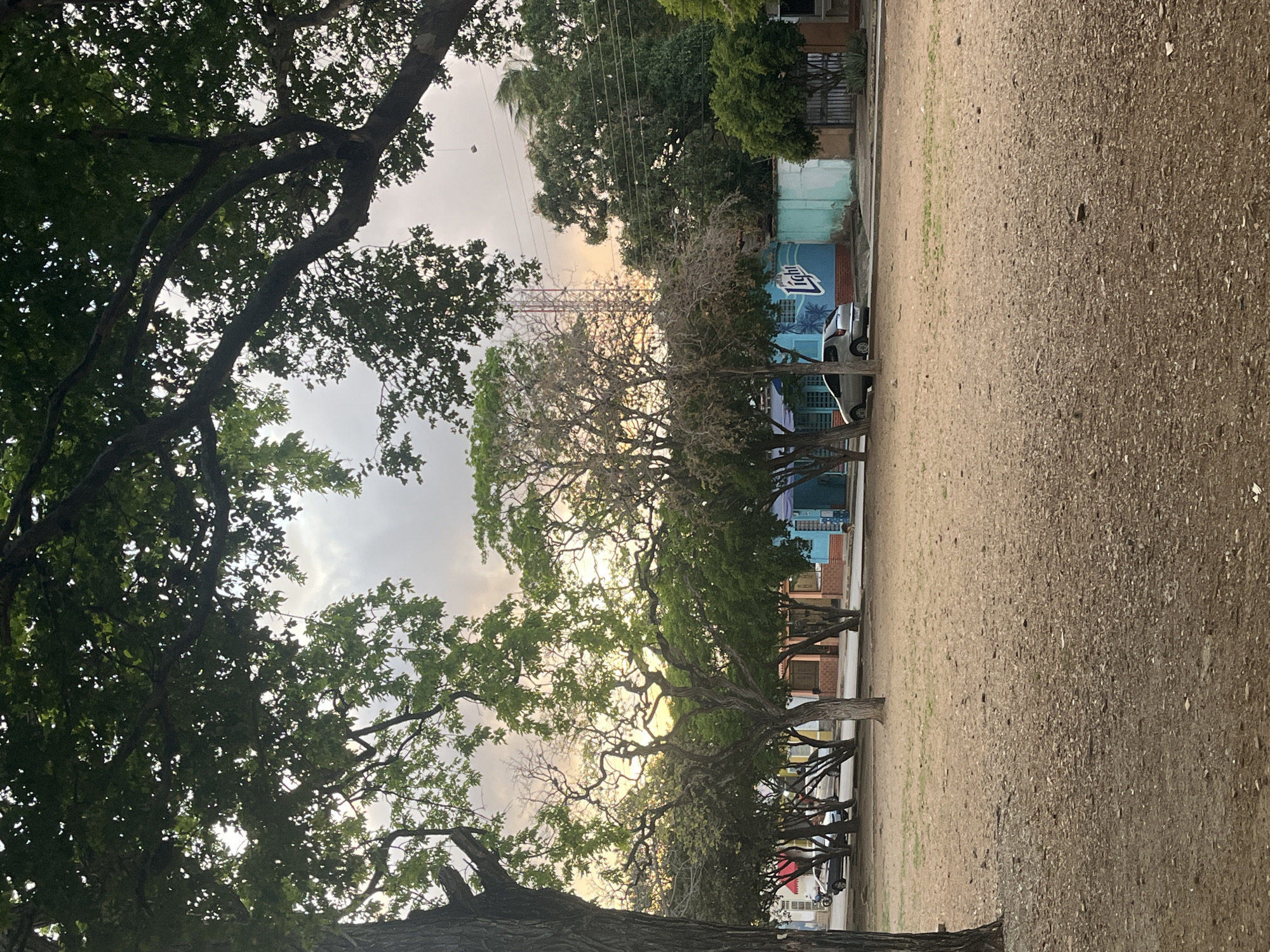 The image captures a street scene in Santa Ana, Venezuela, at dusk. The foreground is dominated by a dry, dusty lot with sparse green patches, likely a park or unpaved public space. In the midground, a row of trees with gnarled branches and green foliage lines the street. Behind the trees, a building with a teal and blue facade is visible, featuring a large mural with the word "Light" in white lettering. A silver sedan is parked in front of this building. Further back, more trees and buildings are discernible, along with a communication tower. The sky above is overcast with hints of orange and yellow from the setting sun. The overall atmosphere is quiet and still, typical of a late afternoon in a Venezuelan town.