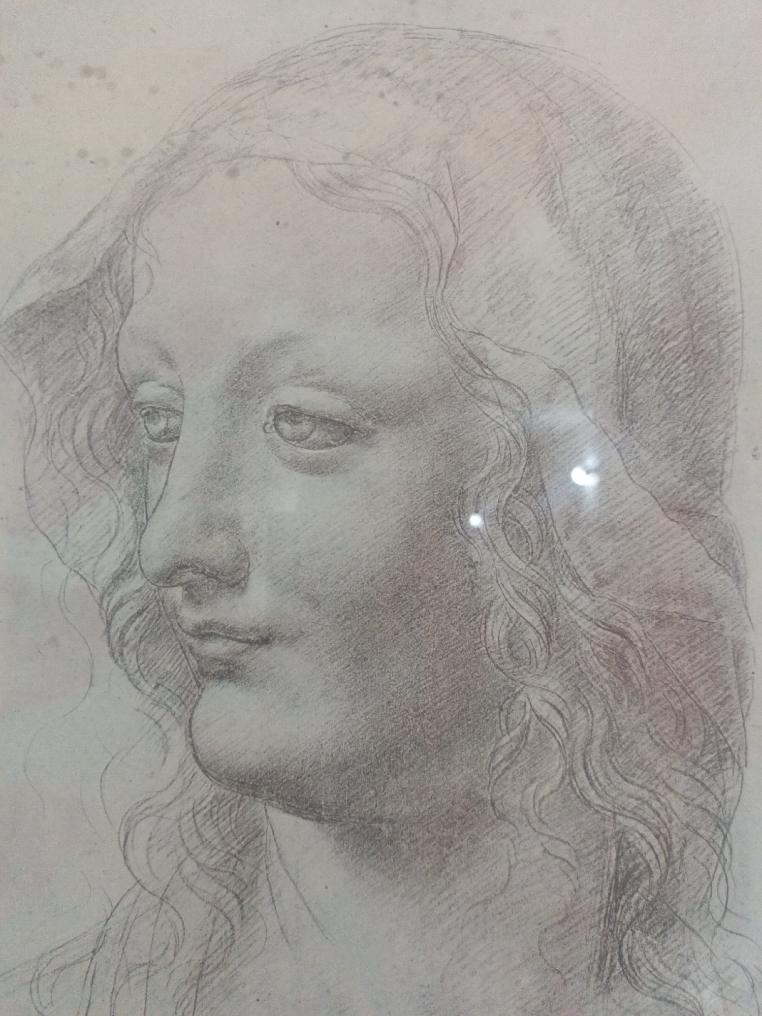 The image is a graphite drawing depicting a woman's face in profile. She has a prominent nose, slightly pursed lips, and a soft expression. Her hair is long and wavy, and she wears a head covering that drapes around her head and shoulders. The drawing is rendered with delicate shading, giving it a soft and ethereal quality. There is no indication of its location in Juan Griego, Venezuela, or any other specific location. The drawing appears to be a study or sketch, possibly of a historical figure or a person idealized in a classical style. There are reflections on the surface of the picture in two points close to her right ear.