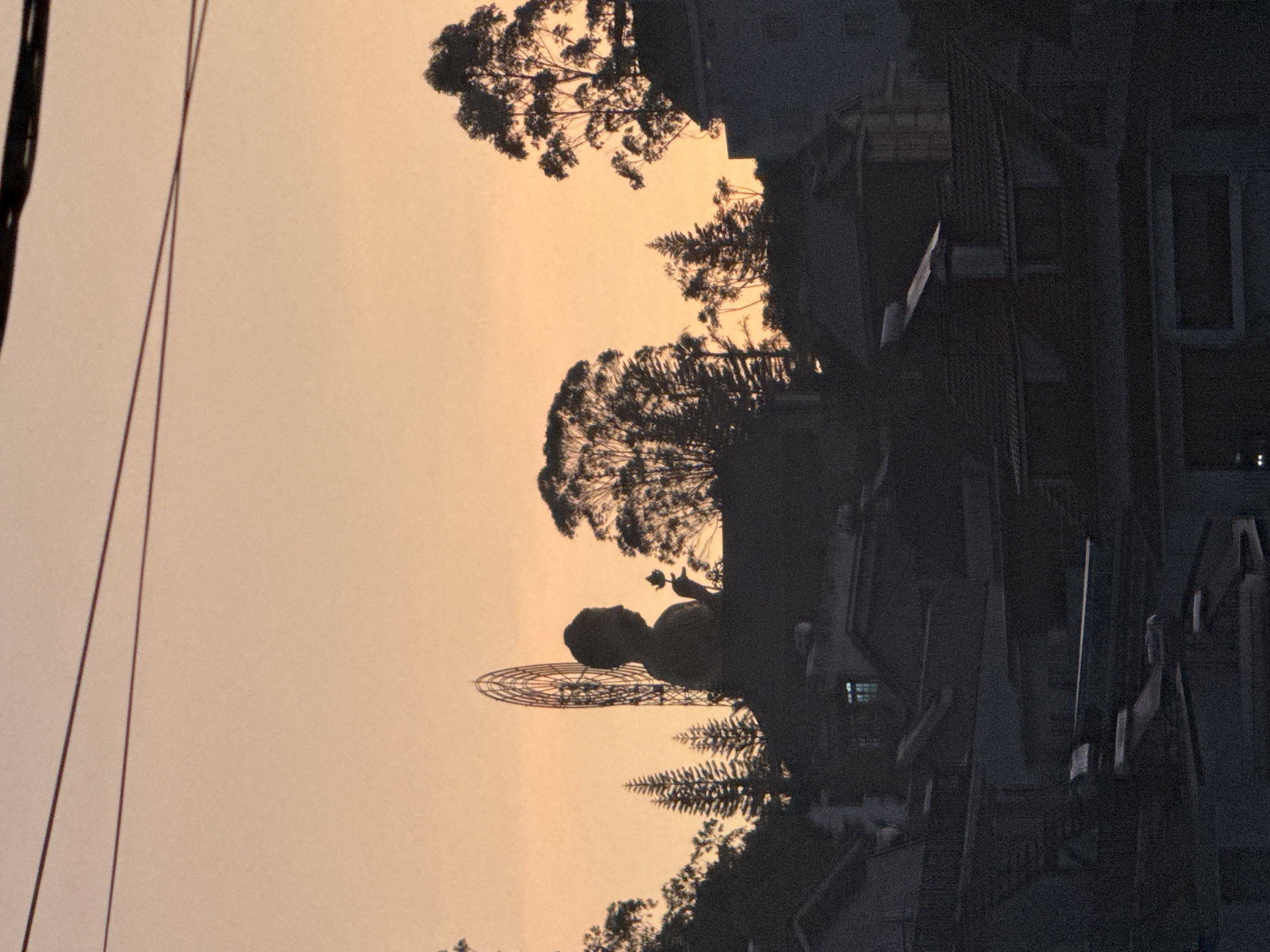A vertical outdoor photograph captures a silhouette of a statue of a woman holding a flower in Lâm Viên Square, Đà Lạt, Vietnam. The statue is facing left, appearing against a light orange sky. An elaborate halo-like structure is behind the statue's head. Silhouetted trees frame the top of the scene. A building structure, also in silhouette, appears on the right side of the image. Cables are present in the lower left corner.