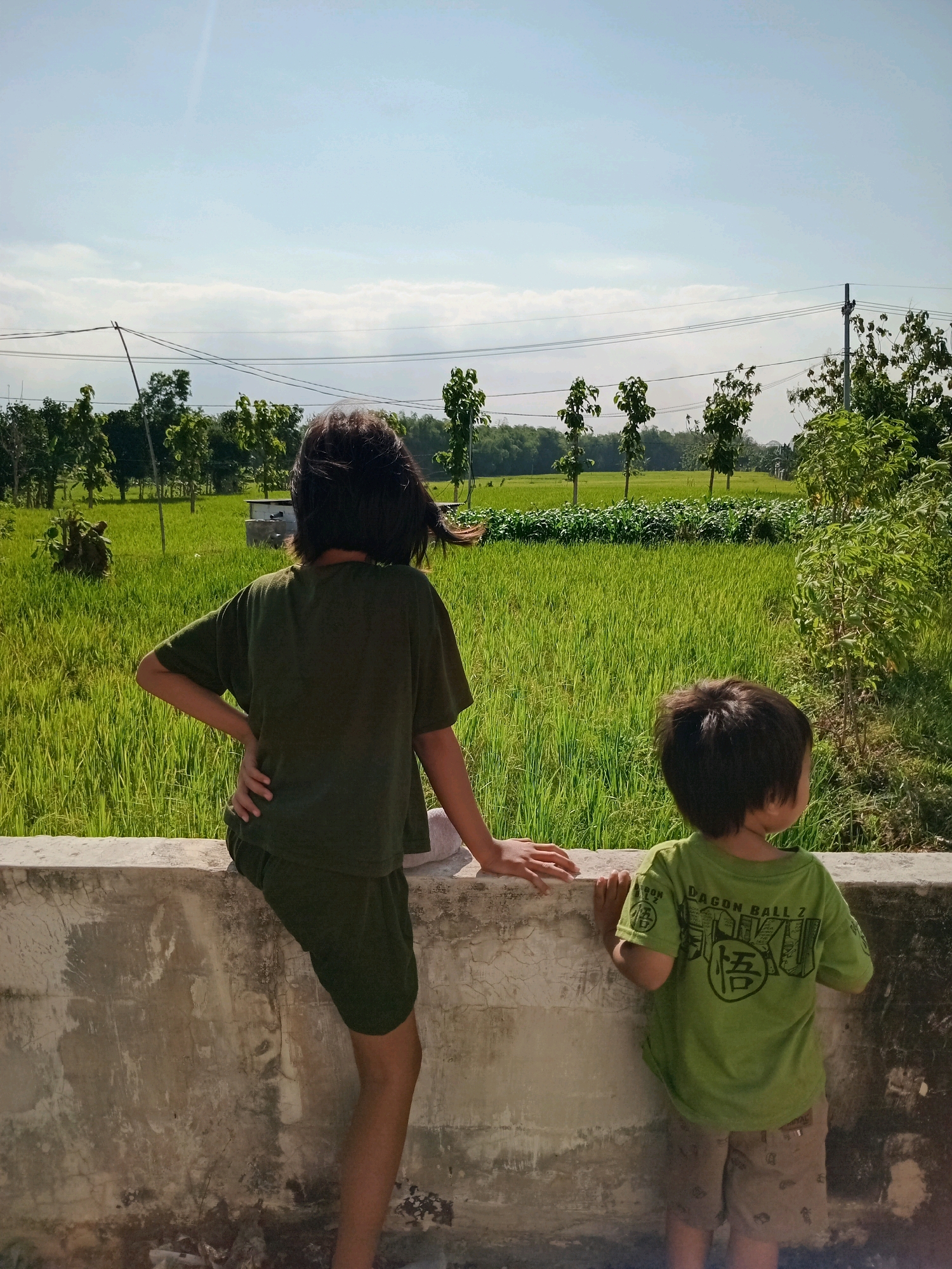 Memory