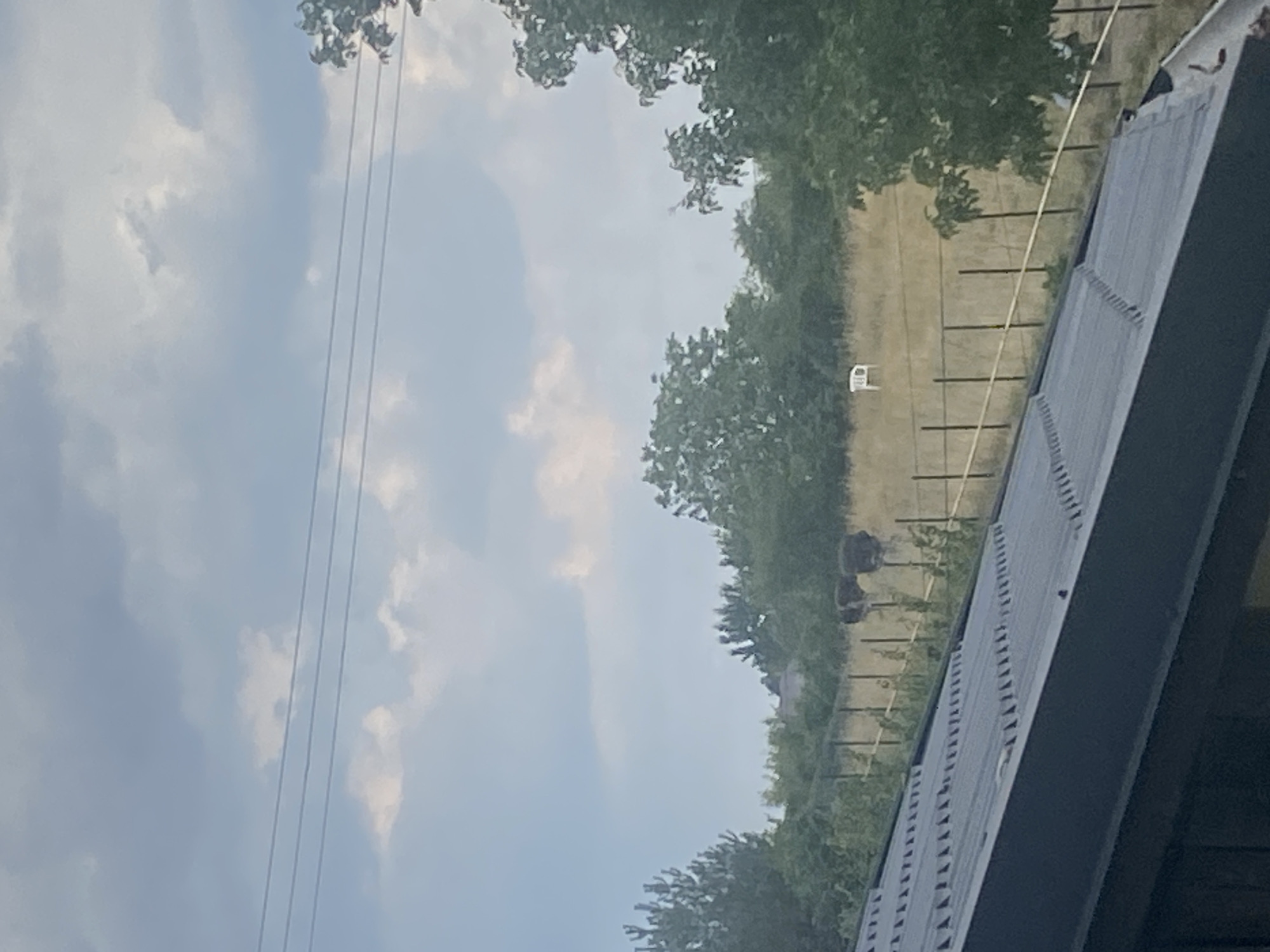 In Târgu Neamț, Romania, on an overcast day, a view from a dark metal roof looks towards a distant, fenced-off area. In the background, tall grass grows on a slight incline, dotted with trees. A white plastic chair sits in the field. Two dark, amorphous shapes, possibly animals or large objects, are visible near the center of the frame, behind the fence. Power lines traverse the sky.