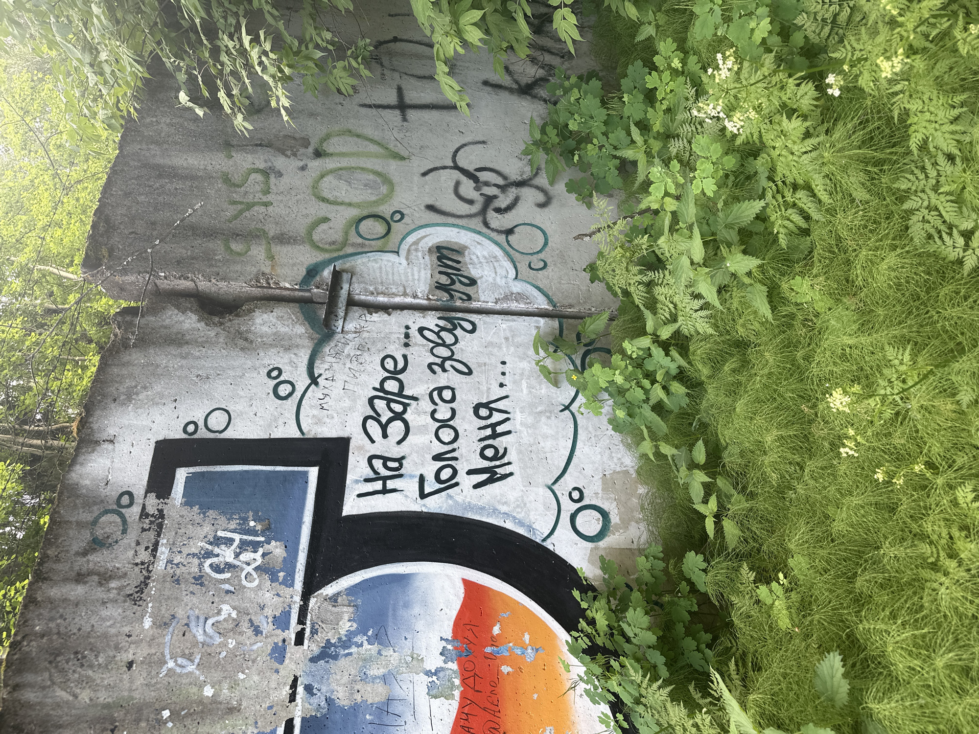 The image captures a weathered concrete wall covered in graffiti, situated in an outdoor environment with lush green foliage in the foreground and trees visible above the wall. The graffiti features Cyrillic text and symbols. The text on the wall reads "На Заре... Голоса зовут Меня..." which translates to "At Dawn... Voices call me...". Other graffiti elements include the letters "SOD" in green and a biohazard symbol in black. The wall itself appears to be part of an old or abandoned structure, with visible cracks and peeling paint. The presence of the biohazard symbol suggests a possible industrial or utilitarian context, though the overall scene appears overgrown and neglected. This specific location is likely in Chaikovsky, Russia, a city known for its industrial presence, particularly in the petrochemical sector. The combination of graffiti and overgrown nature suggests an urban fringe or an area undergoing reclamation by nature.