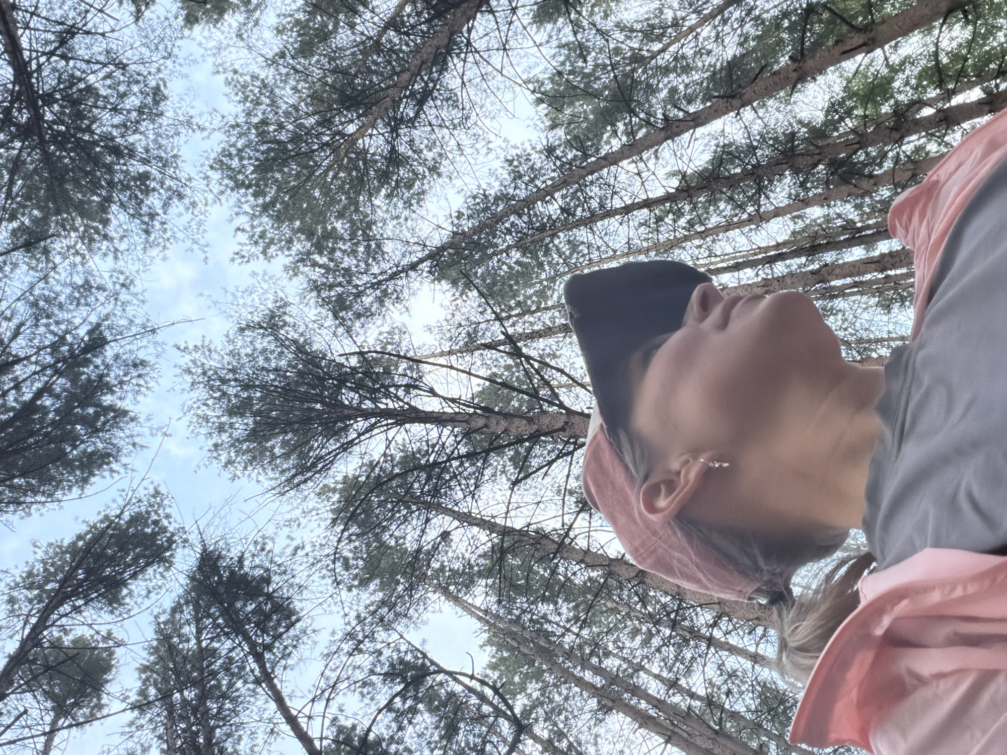 The image shows a low-angle view of a person looking up at tall pine trees against a pale blue sky with some cloud cover. The person is wearing a dark baseball cap, a pink bandana, a gray shirt, and a pink jacket. The scene is likely a forest environment. The location is the city of Chaikovsky, Russia.