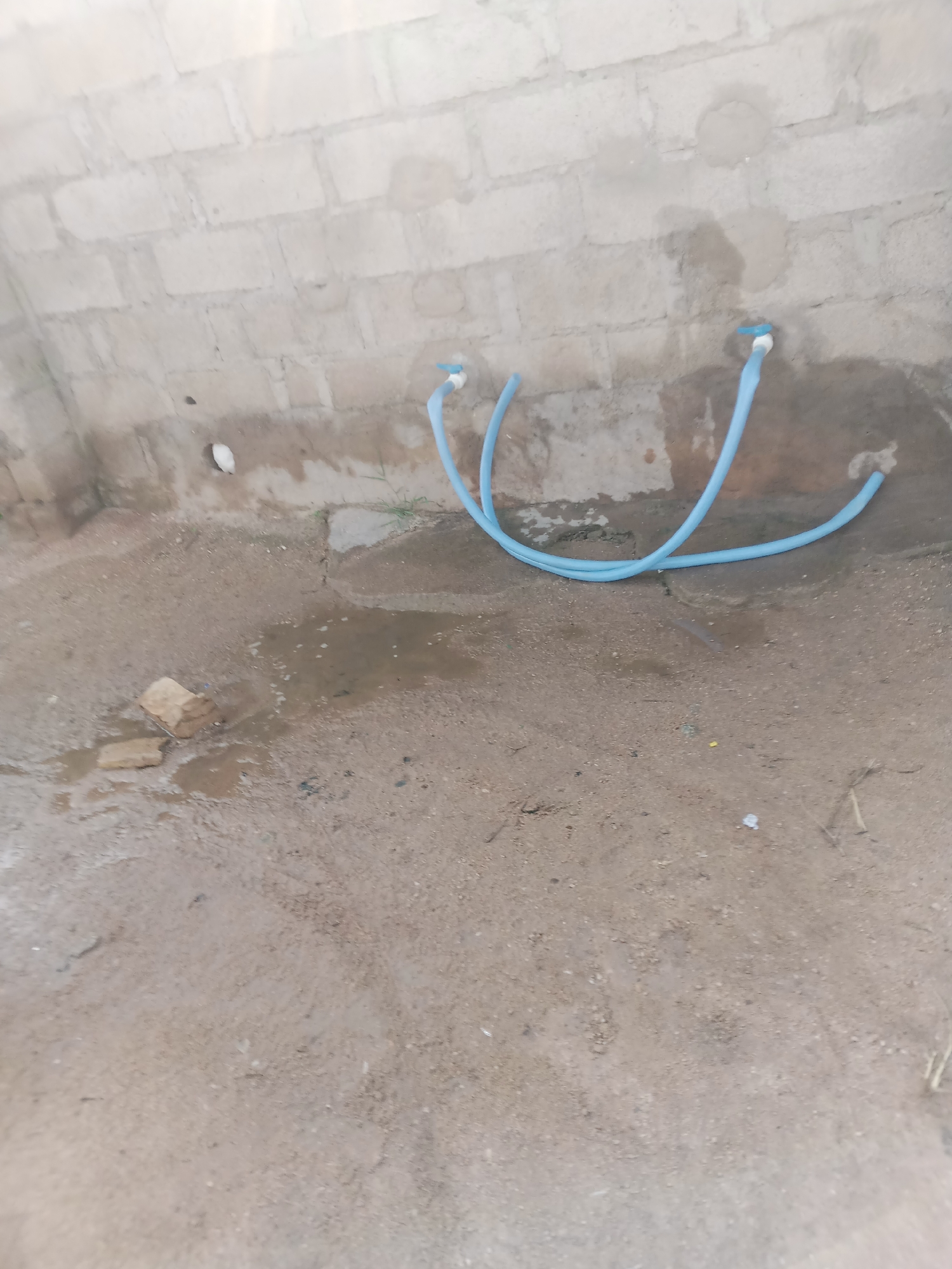In Jauro Yinu, Nigeria, the image depicts an outdoor scene with a brick wall and a sandy ground. Two blue hoses are connected to taps protruding from the wall. A small puddle of water is visible on the ground, with two bricks resting in it. A small white object, possibly a bird or a piece of debris, is present near the wall. The environment appears to be in a state of construction or disrepair.