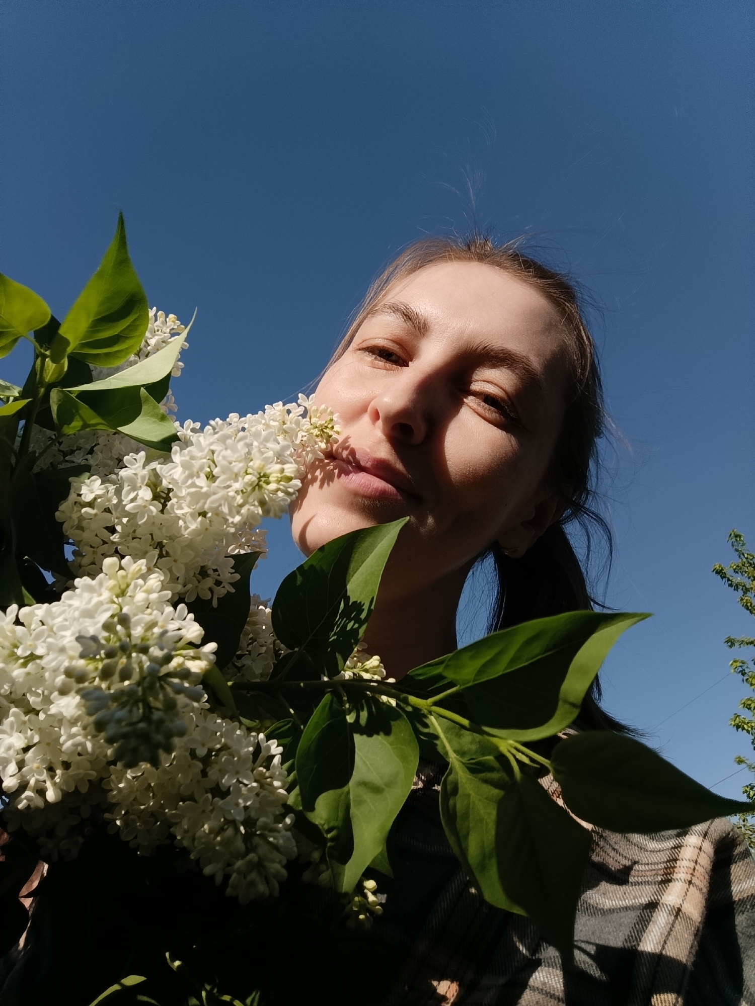A low-angle, close-up photograph features a woman holding a bouquet of white lilacs up to her face against a backdrop of a clear blue sky. The woman, with fair skin and brown hair pulled back in a ponytail, has her eyes partially closed, suggesting bright sunlight. Some of the lilac flowers touch her lips. The bouquet is large, with many small white flowers and green leaves. She is wearing a plaid shirt or jacket. A small portion of a tree is visible in the lower right corner. It is difficult to verify the location as Chaikovsky, Russia without additional contextual information.