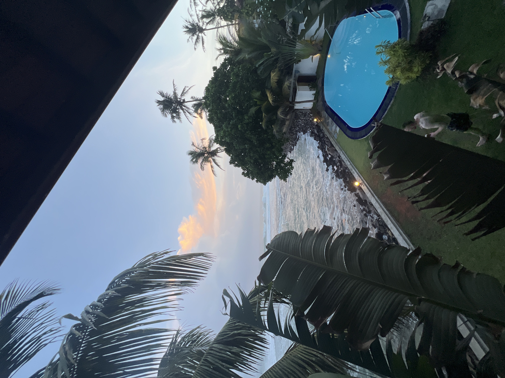 This image captures a serene coastal scene in Goviyapana, Sri Lanka, during what appears to be dusk or early morning. The foreground is dominated by lush, dark green palm leaves, framing the view. In the mid-ground, a bright blue swimming pool with a dark blue border is visible, set against a manicured green lawn. A man, wearing dark shorts and appearing shirtless, is walking across the lawn, holding a light-colored object in his right hand. Beyond the pool and lawn, a rocky shoreline meets the ocean, where gentle waves are breaking. Palm trees and dense foliage dot the landscape along the coast, with a small white building nestled amongst the greenery near the pool. The sky above is a gradient of soft blues, with streaks of pale orange and pink clouds, indicating either sunrise or sunset. The overall atmosphere is tranquil and tropical.
