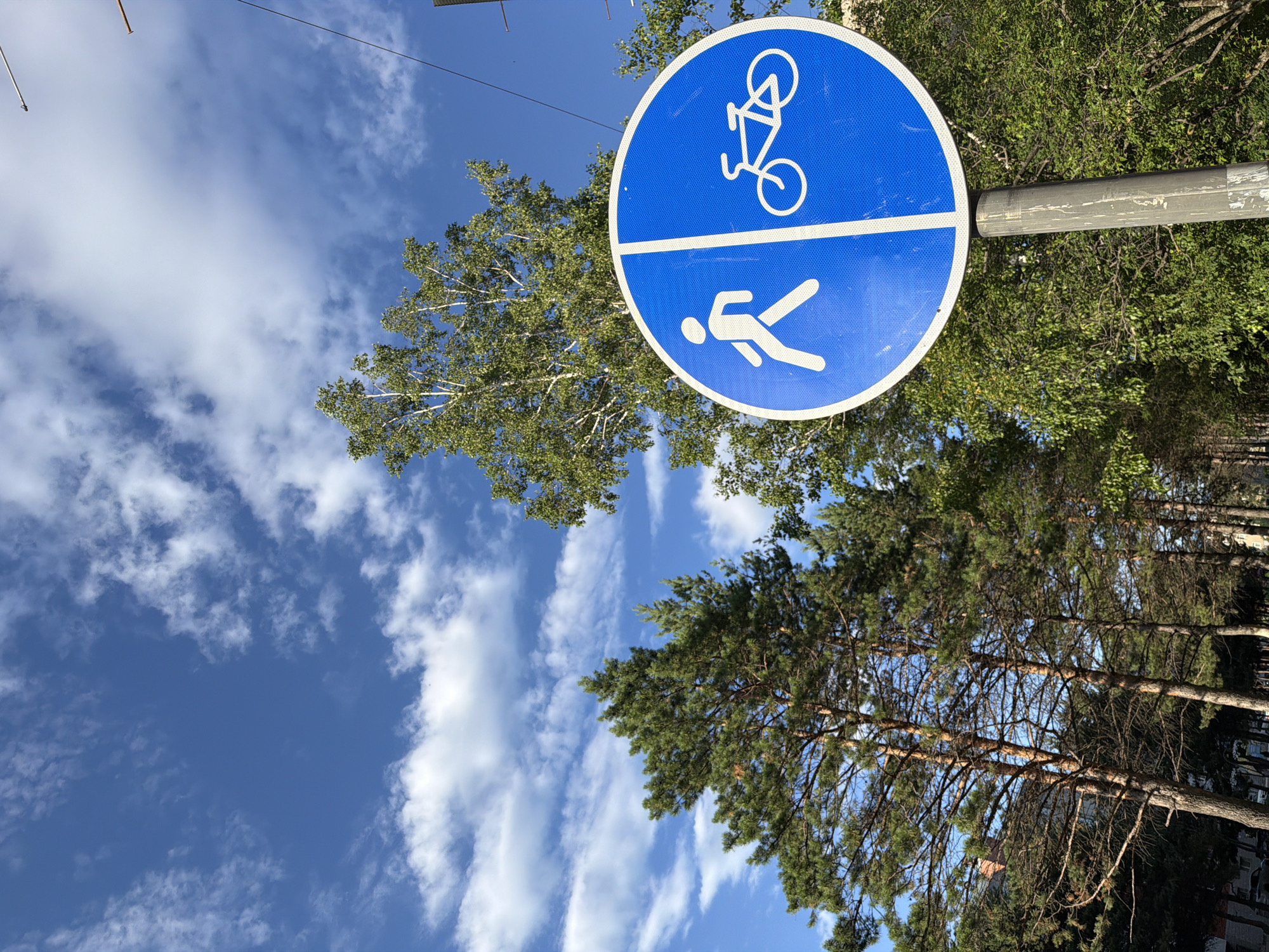 A round, blue traffic sign with a white border is mounted on a metal pole. The sign is divided vertically by a white line. On the left side is a white silhouette of a person walking. On the right side is a white silhouette of a bicycle. The sign is positioned in front of a line of trees and a blue sky with white clouds. In the background, to the left of the trees, a building is partially visible. The scene appears to be a public area, possibly a park or a street, in Birobidzhan, Russia.