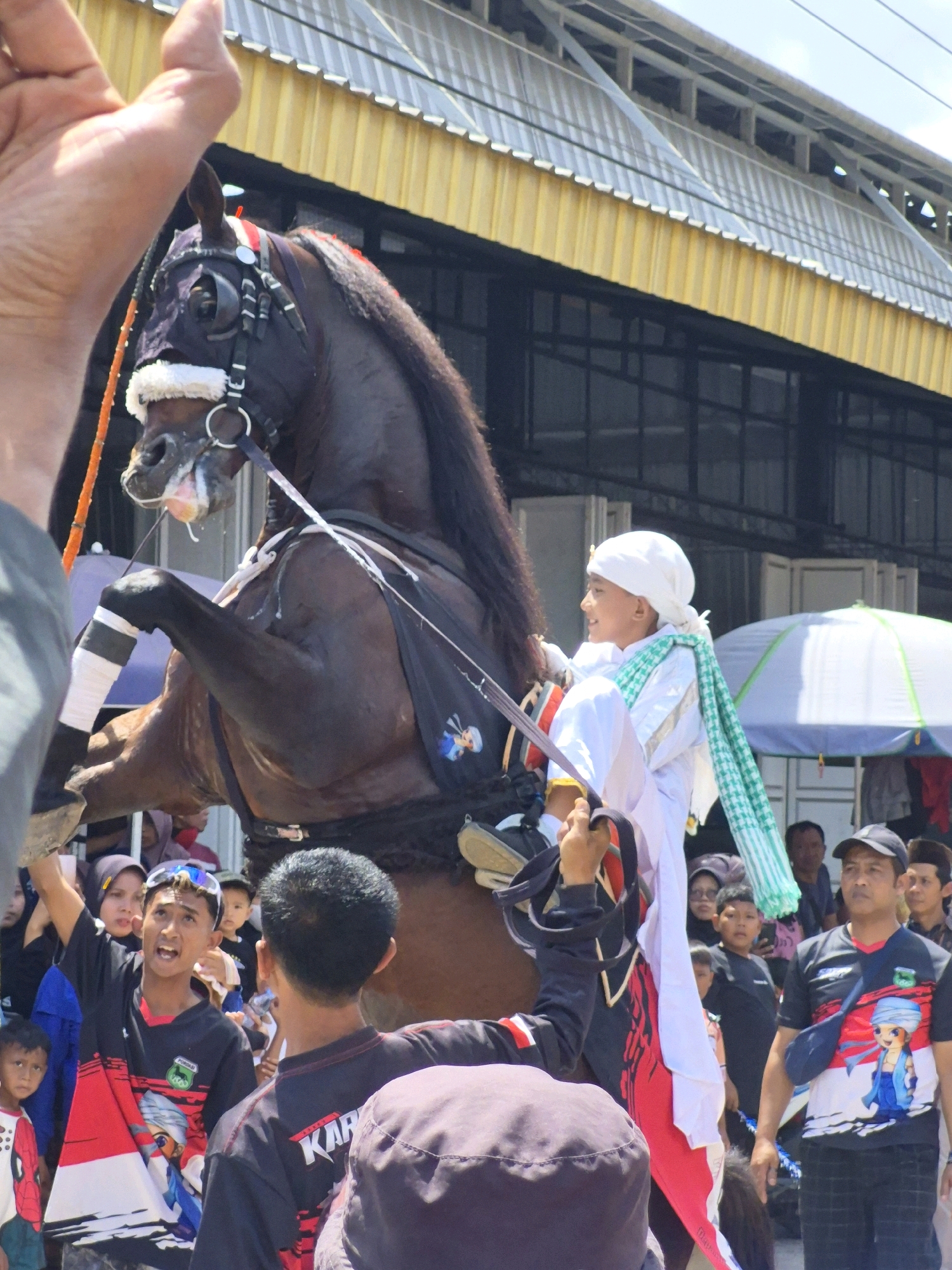 In Grantung, Indonesia, a dark brown horse rears up on its hind legs during a procession. A young boy wearing a white shirt, white headscarf, and green and white checkered scarf sits on the horse, smiling. The horse is adorned with a black bridle and a decorative saddle blanket. A man in the foreground, wearing a black shirt with red and white accents, is seen with his hand raised, facing away from the camera. Behind him, other spectators, including children and adults, are visible, some looking at the horse and rider. In the background, a yellow-roofed structure with open sides and a metal frame suggests an outdoor market or event space. The ground appears to be paved. The overall scene depicts a vibrant cultural event with a focus on the horse and its young rider.