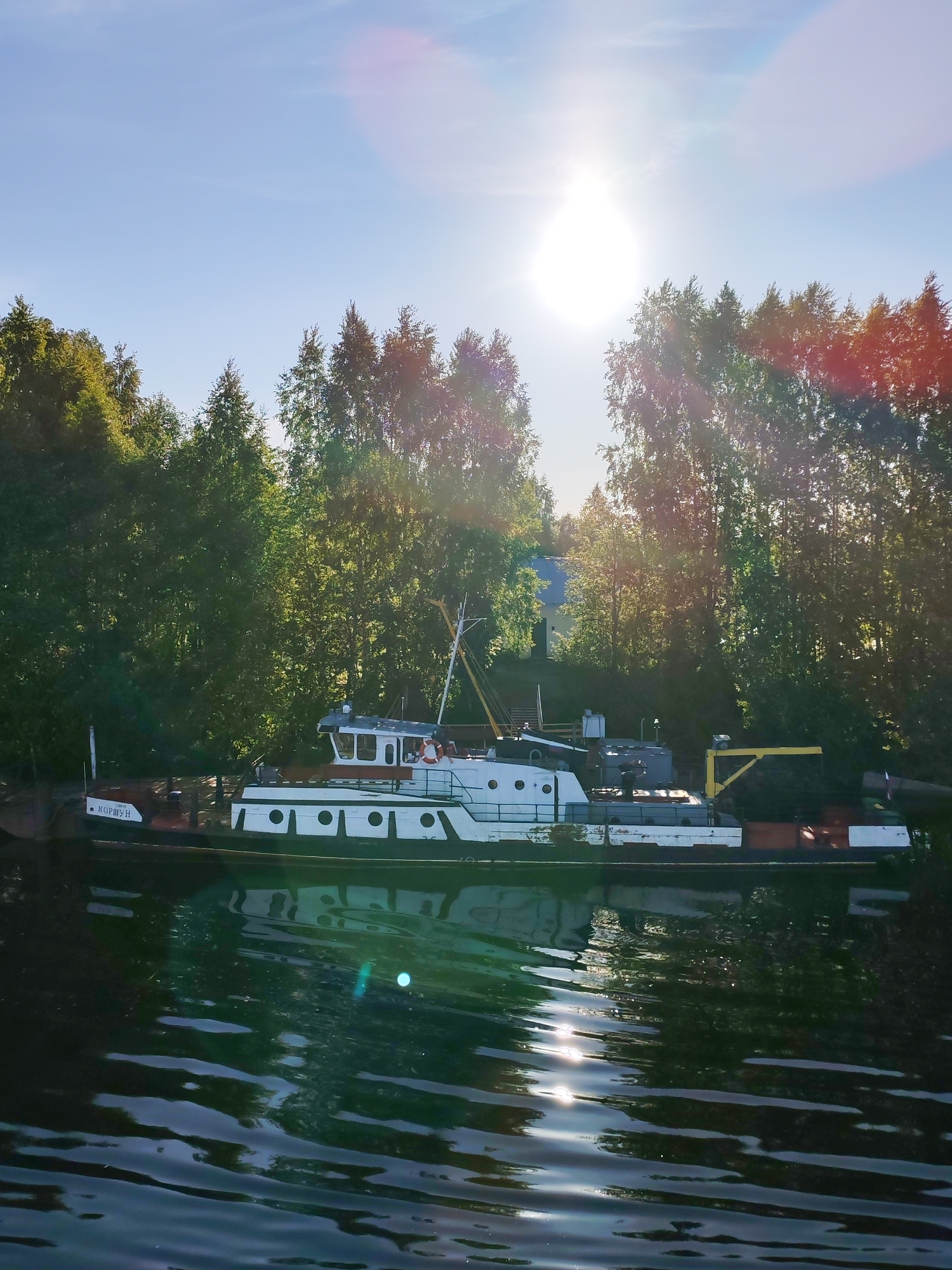 A bright, sunny daytime scene depicts a workboat or tugboat moored along a tree-lined bank, likely a river or canal, in Annensky Most, Russia. The sun is high in the sky, creating a strong lens flare and illuminating the scene with brilliant light that reflects intensely on the water's rippled surface.
The prominent subject is a white and dark-hulled boat, appearing somewhat worn, with multiple round portholes and a central cabin/wheelhouse. On its bow, the Cyrillic text "КОРШУН" (KORSHUN) is clearly visible, with "ЯР-2" below it. Towards the stern, the boat carries what appears to be stacked dark material, possibly wood, along with a yellow crane-like arm. Two faint figures are discernible on the boat's deck, one of whom might be wearing an orange life vest.
The background features a dense, vibrant green forest comprising both coniferous and deciduous trees, bordering the waterway. A light-colored building is subtly visible behind the trees in the distance. The sky above is clear blue with only a few wisps of clouds. The overall impression is one of a serene natural environment under clear, bright weather conditions.