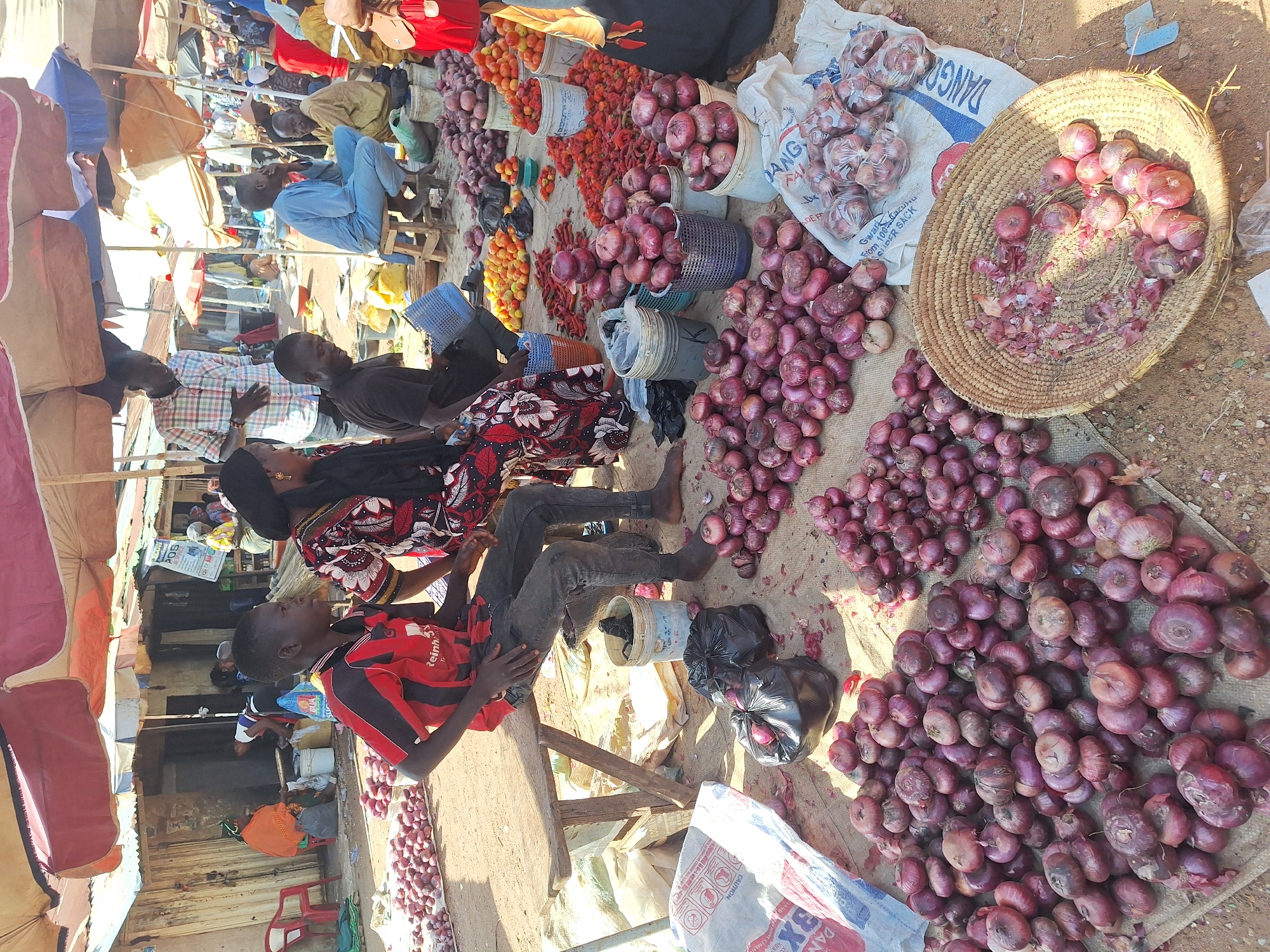 The image depicts a market scene in Kakuri Gwari, Nigeria. Red onions are spread across a ground surface, arranged in piles and in a woven basket. Bags, buckets, and baskets contain more onions and other produce like tomatoes. Several people are present, including vendors sitting behind their goods. Market stalls are visible with fabric canopies offering shade. The ground is sandy.