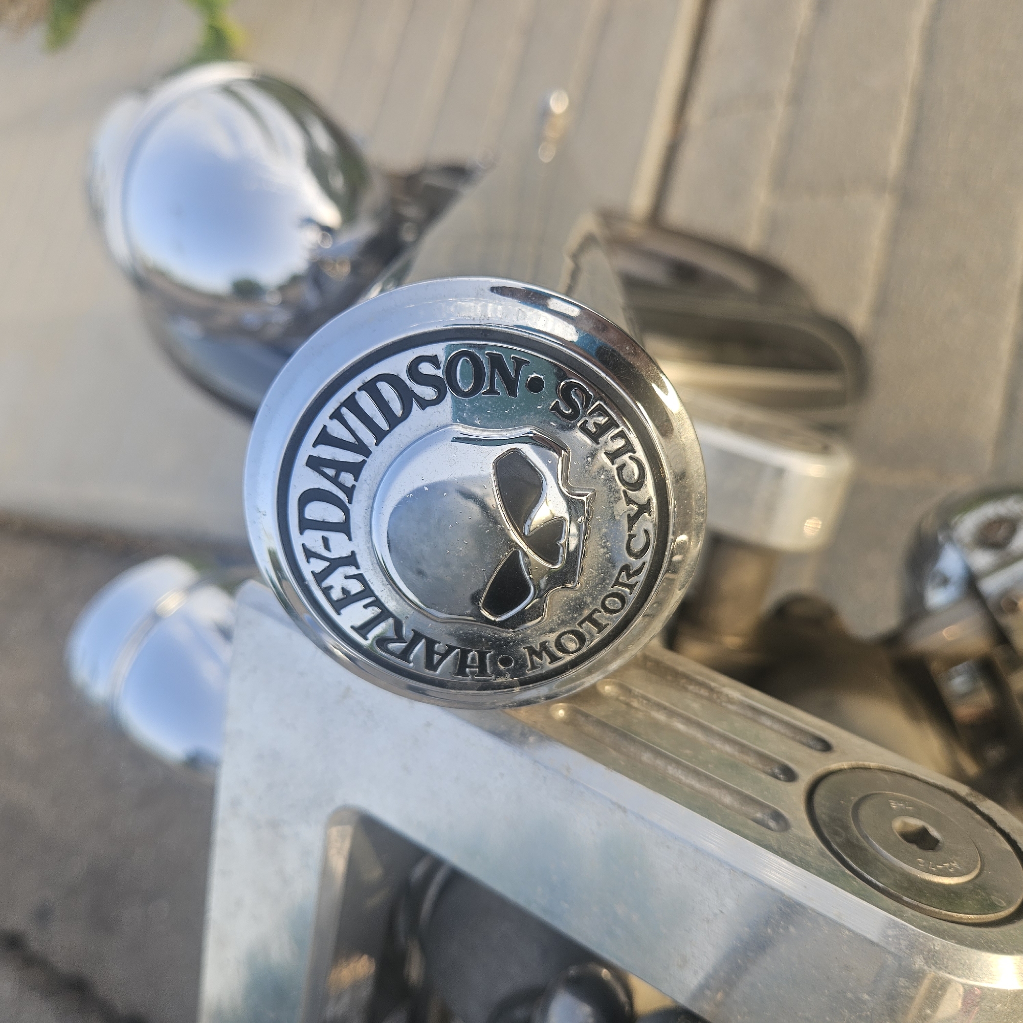 A close-up, eye-level, outdoor shot focuses on a chrome emblem on a Harley-Davidson motorcycle. The emblem is circular with "HARLEY-DAVIDSON" written in an arc at the top, and "MOTORCYCLES" in an arc at the bottom. In the center of the emblem is a stylized skull with darkened eye sockets and nasal cavity. The motorcycle's chrome components reflect the surrounding environment, including a wooden deck and some foliage. The image is well-lit, with a shallow depth of field that blurs the background. The location is unspecified in the image or its crops, so its presence in Illescas, Spain cannot be determined.