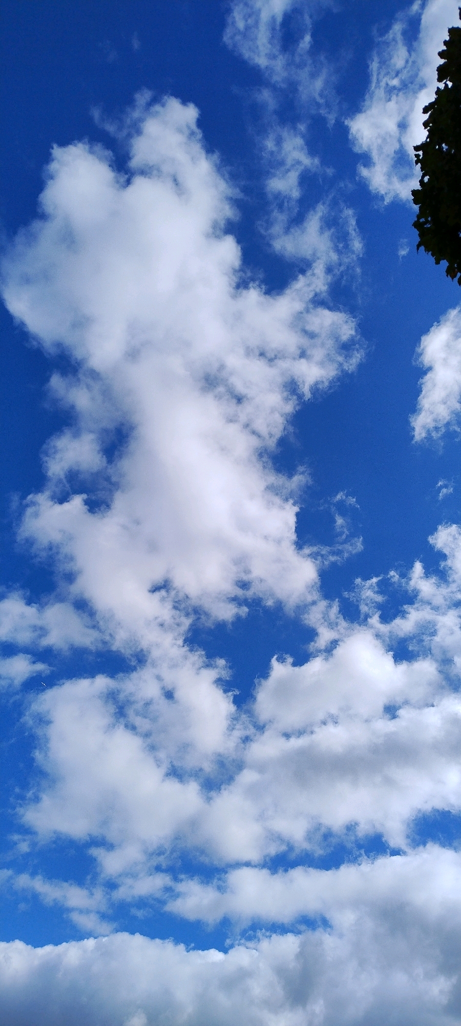 This is a vertical, close-up shot of a bright blue sky filled with white, fluffy cumulus clouds. The clouds are scattered across the frame, with some larger, more defined formations and smaller, wispy ones. The lighting suggests it is daytime, and the clear blue sky indicates fair weather. There is a dark green tree silhouette visible in the upper right corner of the image. The image captures a serene and natural outdoor scene. There is no indication of it being in Ishøj, Denmark.