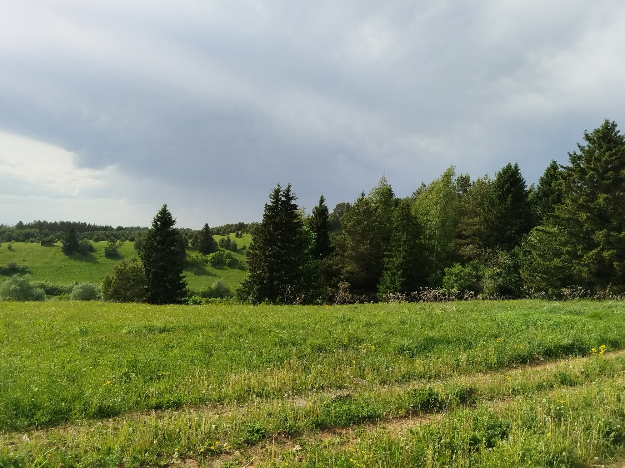 The image depicts a rural landscape in Чумна, Russia. A green field occupies the foreground, showing tire tracks. A line of trees separates the field from a background of rolling green hills. Above, a cloudy sky covers the scene, suggesting possible rain. No people are visible.