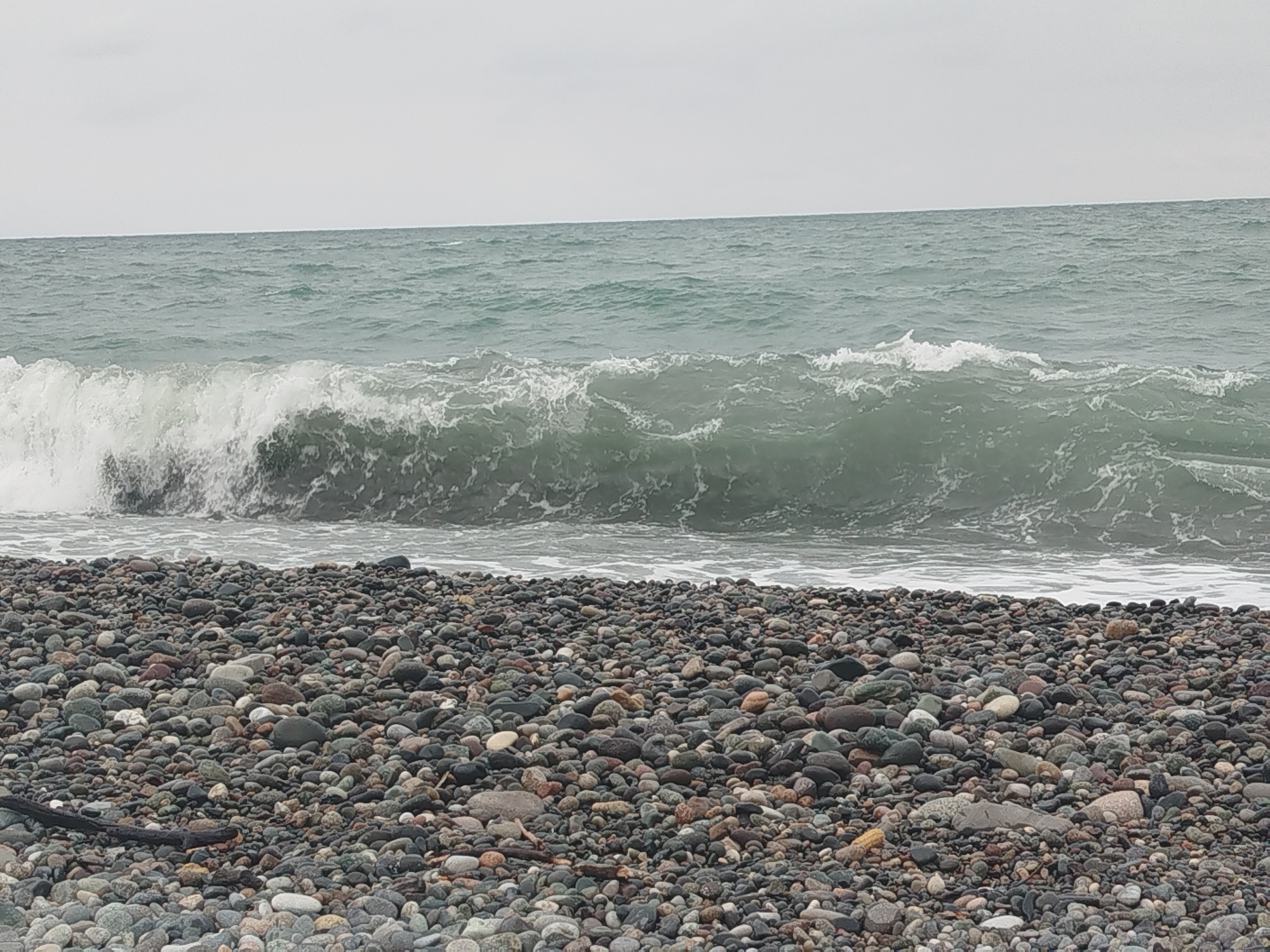 A wave crashes on a pebble beach. The sky is overcast. The water is a murky green. The beach is covered in smooth, rounded stones of various sizes and colors, predominantly grey, black, and brown, with some lighter-colored stones interspersed. A piece of dark driftwood lies horizontally on the beach in the lower left quadrant of the image. The horizon is visible in the distance, separating the sea from the sky. The scene is one of a natural, unpopulated coastline.