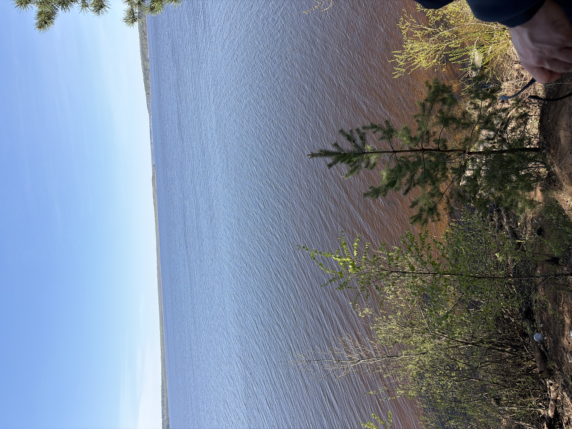 The image shows a view from a high point overlooking a large body of water, likely the Izhevsk reservoir. The sky is blue and cloudless. On the right side of the image, there's a foreground of trees and vegetation growing on the edge of the slope. A person's hand is visible at the top right. The water stretches out to the horizon, with some hints of the opposite shoreline visible in the distance. The water has a slightly brownish tint. The image is taken from a somewhat tilted angle.