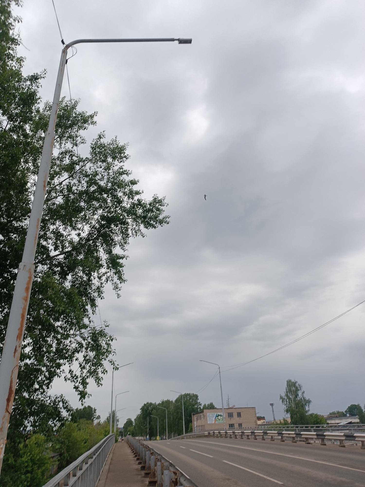 The image presents a daytime view along a bridge or overpass in Chaikovsky, Russia, under a heavily overcast sky. In the immediate foreground on the left, a tall, weathered metal street lamp pole, showing signs of rust, rises beside a large, leafy green tree whose branches partially obscure the upper left of the frame. Adjacent to the street lamp is a pedestrian walkway protected by a sturdy metal railing.
To the right of the walkway, a two-lane road, marked with white lane lines, extends into the distance, flanked by a series of identical streetlights. A robust metal barrier with distinctive black and white sections separates the road from the pedestrian area. In the mid-ground on the right, a utilitarian-looking low-rise building with several windows is visible. A large billboard or sign on its side displays Cyrillic text, including "ТЕЛЕФОН" (TELEFON) and "УЗНАЙ" (UZNAY – find out), along with a green graphic, suggesting an advertisement for a communication or other service. Further in the background, more trees and a tall, slender mast or tower can be observed.
The sky is uniformly covered by gray clouds, indicating an overcast day without direct sunlight. A small, dark, elongated object, possibly a bird or a distant kite, is discernible against the gray sky in the upper central area. The scene is static, with no people or vehicles visible, depicting an ordinary urban or semi-urban streetscape.