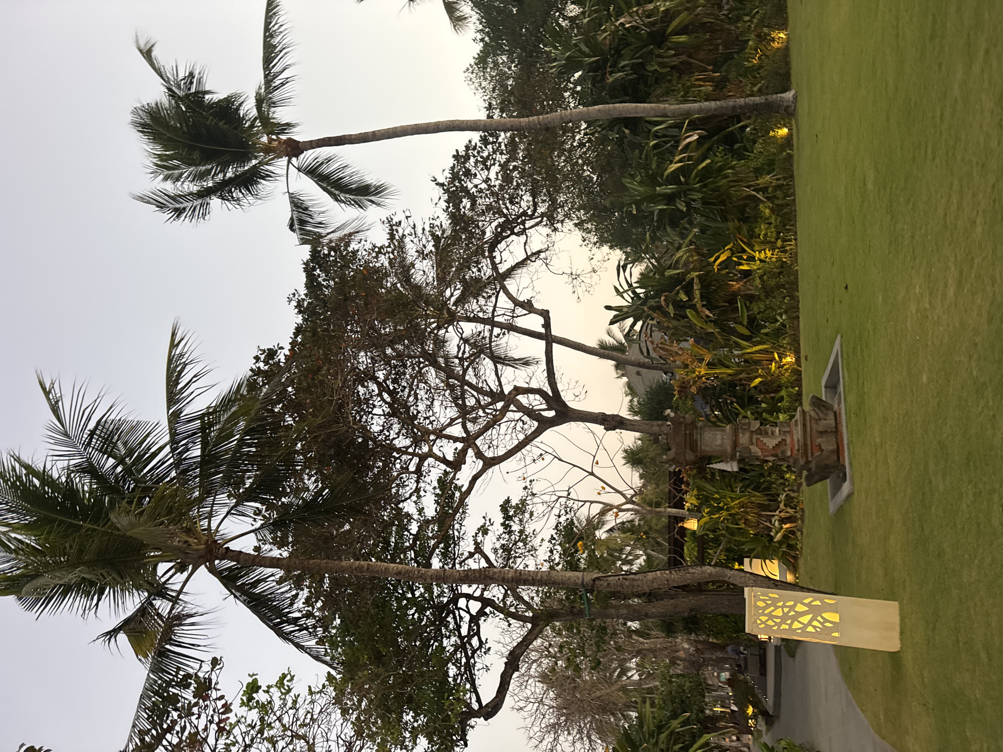 In Kuta Selatan, Indonesia, this image captures a serene twilight scene in a well-maintained garden. The foreground is dominated by a manicured green lawn, on which rests a decorative stone sculpture that appears to be a water feature. To the left of the sculpture, a tall, rectangular light fixture with an intricate, tree-like pattern emits a warm, yellow glow. A paved pathway curves from the left side of the image into the distance, lined with more of these illuminated fixtures.
Dominating the mid-ground and background are lush tropical trees and palms, their fronds silhouetted against a pale, hazy sky. Several tall palm trees stand prominently, with their characteristic slender trunks and feathery leaves. Behind them, a cluster of broader trees with intricate branching patterns creates a dense canopy. Yellow uplighting accentuates the foliage and the garden beds, casting a warm ambiance. In the far distance, partially obscured by trees, hints of resort architecture with lights can be seen, suggesting a vacation resort or hotel setting. The overall atmosphere is peaceful and inviting, indicative of a tropical evening in a resort area.