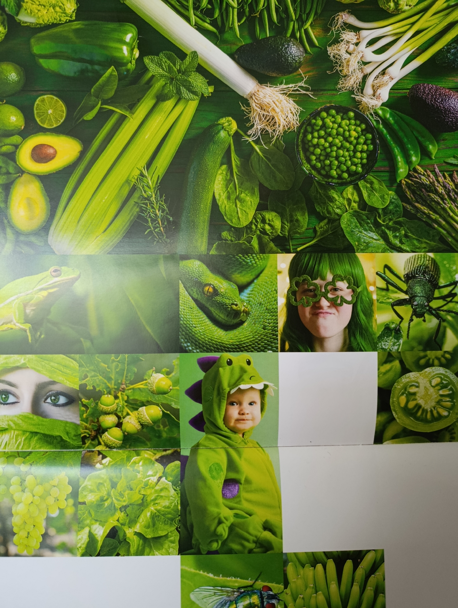 The image is a collage of multiple close-up photographs of various green subjects. The top section features an arrangement of fresh vegetables including leeks, green peppers, avocados, limes, celery, zucchini, peas, and asparagus. The middle section is divided into three parts: the left shows a green frog, the center a coiled green snake, and the right a person with bright green hair wearing shamrock-shaped glasses and making a face. The bottom section is also divided into three parts: the left shows the eyes of a person with green makeup, the center a cluster of acorns on a branch, and the right a baby dressed in a green dinosaur costume. The bottom row continues with a bunch of green grapes on the left, a head of lettuce in the center, and a sliced green tomato on the right. The final image on the bottom right shows a close-up of green bananas and a fly with iridescent wings. There is no discernible urban environment or specific location within a city.