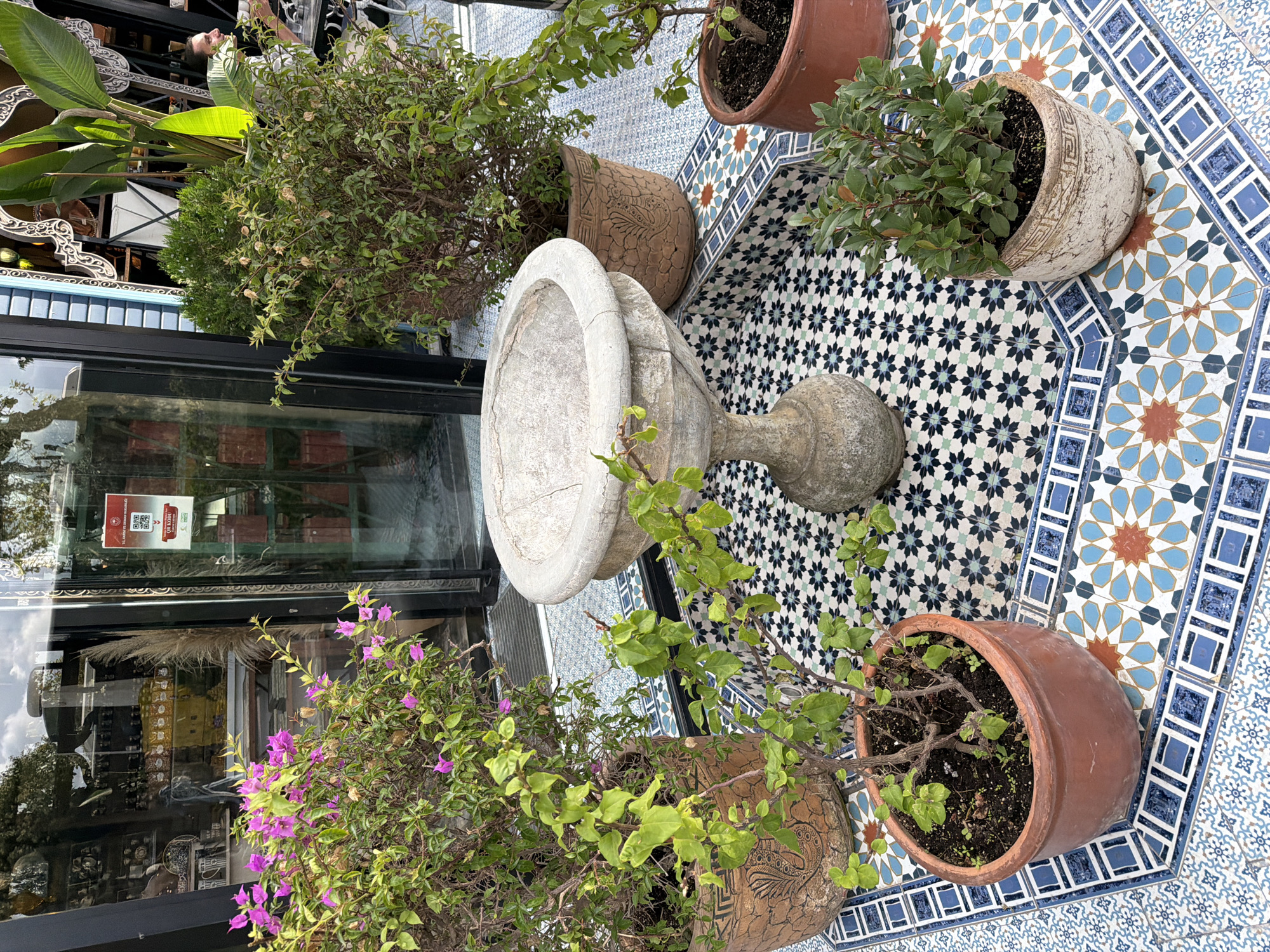 The image depicts an outdoor seating area of a cafe or restaurant with a distinctive tile mosaic floor. The floor features intricate geometric patterns in shades of blue, white, green, and orange. In the center of the tiled area is a weathered stone birdbath on a pedestal, surrounded by several potted plants.
To the left, a large terracotta pot holds a flowering plant with vibrant pink blossoms and green foliage. Next to it, a taller terracotta pot contains a bushy green plant. In the foreground and to the right, there are two smaller potted plants. One is in a reddish-brown pot and has delicate green leaves, while the other is in a decorative white pot with a textured surface.
In the background, large glass doors lead into an interior space, reflecting the outdoor scene. A QR code sign is visible on one of the glass doors. The interior appears to be a shop or cafe, with shelves displaying various items. The overall setting suggests a European or Mediterranean aesthetic, possibly in a city like Üsküdar, Turkey, known for its blend of traditional and modern architecture and vibrant cafe culture. A person can be seen seated at a table in the background, to the far right of the image, suggesting the area is in use.