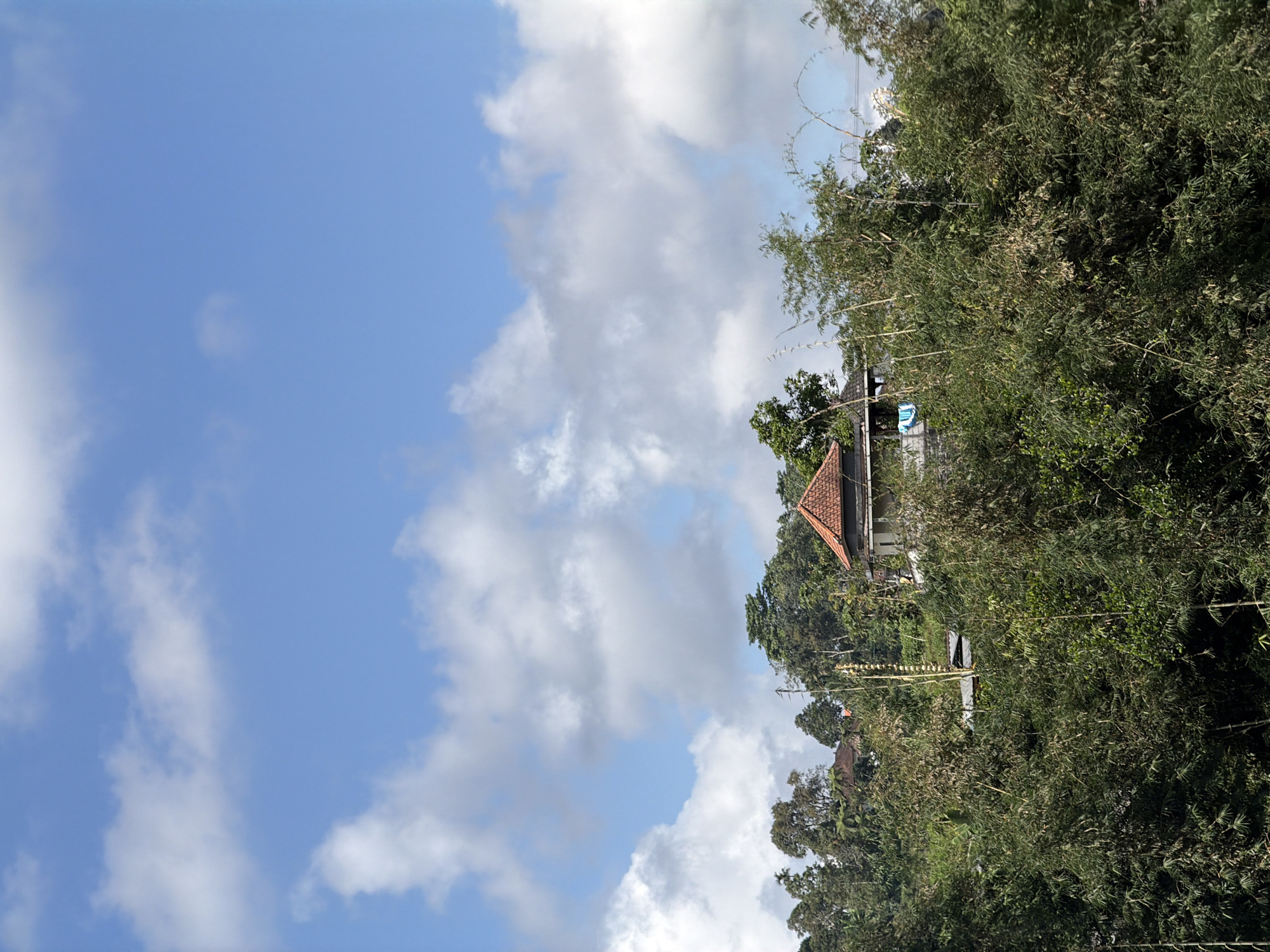 The image depicts a natural landscape with a building nestled amongst lush greenery. The sky above is a vibrant blue, dotted with fluffy white clouds, suggesting a clear day. In the foreground, dense foliage, likely bamboo and other trees, partially obscures the view. In the mid-ground, a building with a reddish-brown tiled roof is visible, surrounded by trees and other structures, hinting at a rural or semi-rural setting. The overall impression is one of tranquility and a harmonious integration of human habitation with nature. This scene is located in Baturiti, Indonesia, a region known for its natural beauty and agricultural landscapes.