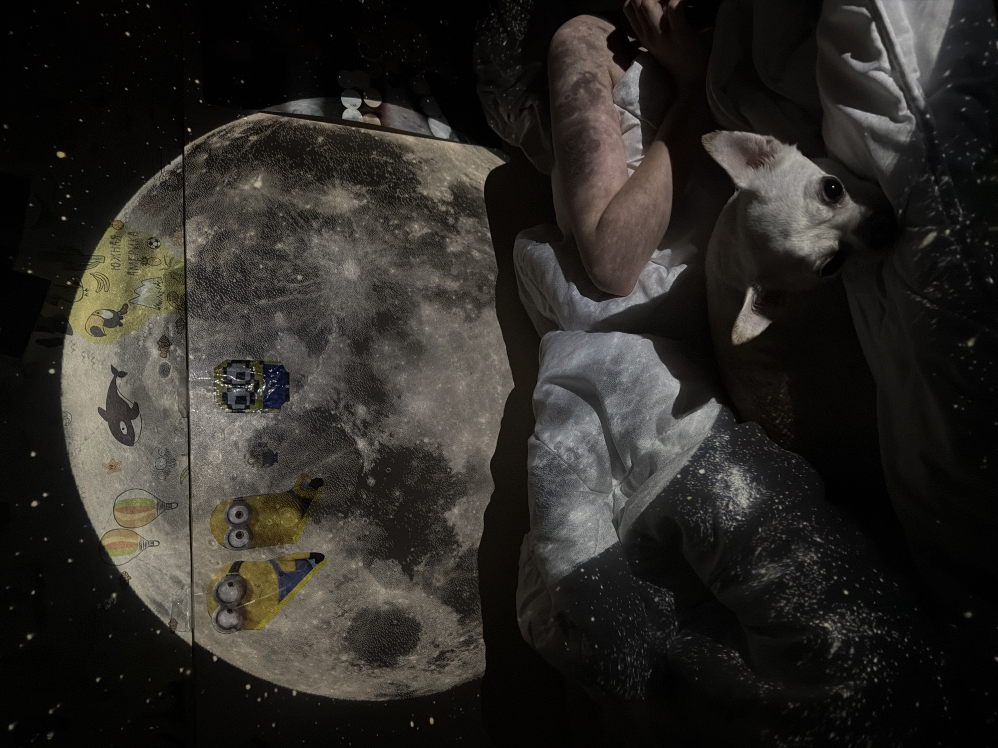 The image depicts a child and a small, light-colored dog lying in a bed. The bedclothes are mostly light-colored but include some fabric with a pattern of white dots on a dark background. A projection on the wall shows a partial image of the moon, with illustrations of Minions, a whale, and other designs on one portion of the lunar surface. A light source projects this image, creating a stark contrast between light and shadow. There's no discernible evidence to indicate the image was taken in Birobidzhan, Russia. The setting is indoors.