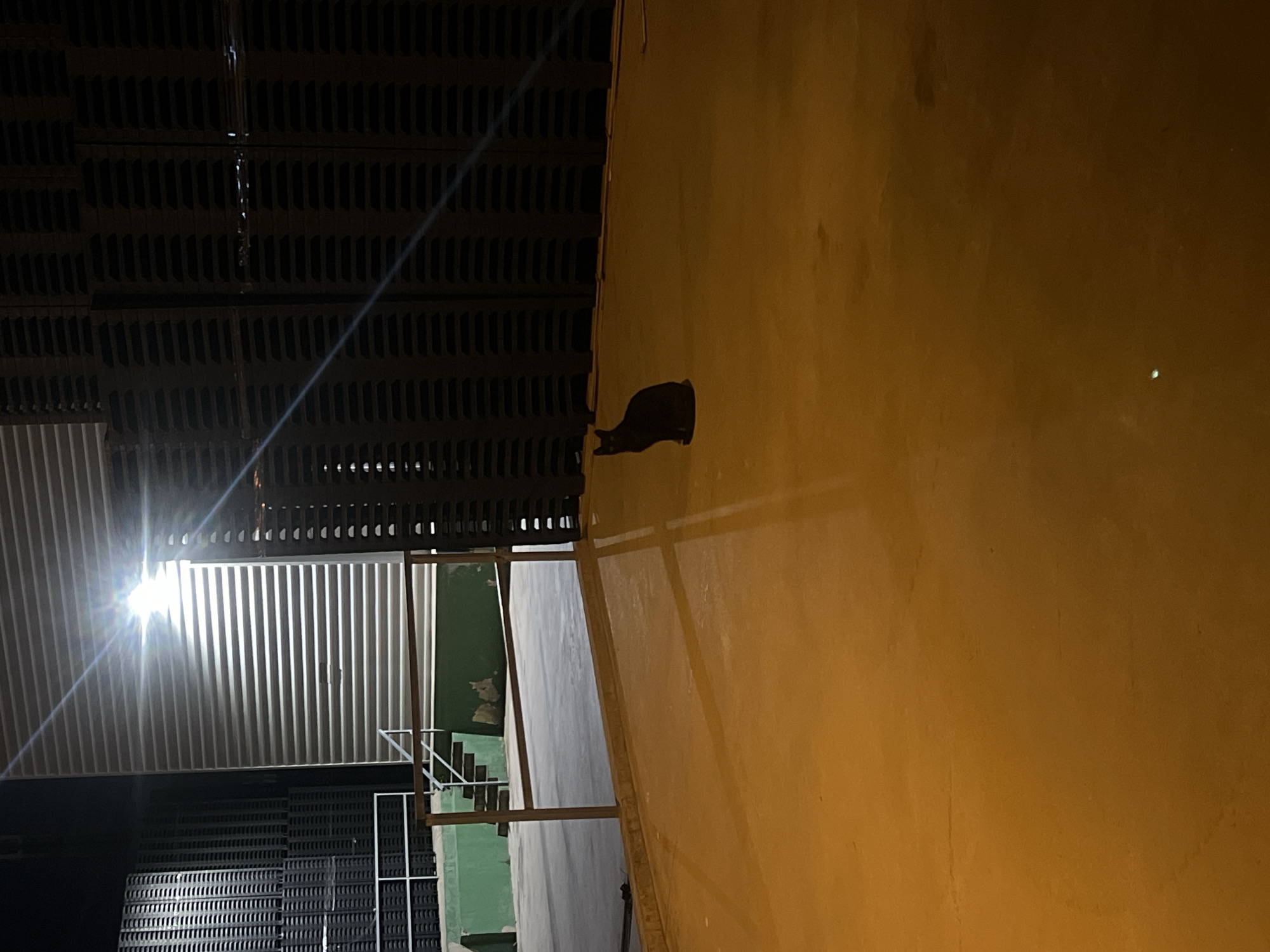 The image depicts an outdoor industrial or storage area at night in Alcàsser, Spain, illuminated by artificial light. A lone black cat is seated centrally on a large, flat expanse of orange-yellow ground, oriented towards the left. In the background, a brightly illuminated corrugated metal wall or roll-up door is prominent, with a stark light source visible above it, creating lens flare. To the left of the corrugated structure, and partially obscured by a metal railing, are tall stacks of dark, rectangular objects, possibly industrial pallets or crates. Similar stacks are present on the far right, extending vertically. A set of metal stairs descends behind the railing on the left, leading to a lower level featuring a green-painted wall or curb. Long, distinct shadows from the railing and other elements are cast across the orange-yellow ground due to the intense artificial lighting. The scene is devoid of human presence or activity.
