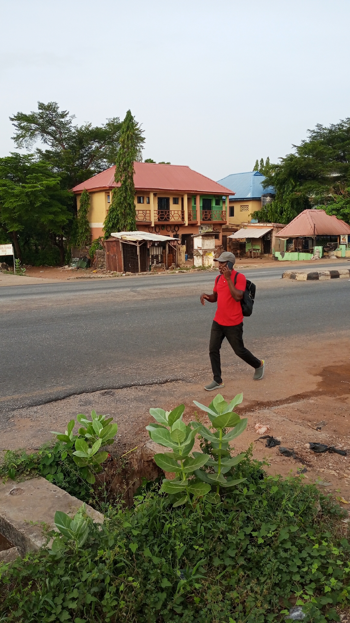 A medium shot depicts a man wearing a red shirt, dark pants, a gray cap, and a backpack walking and talking on a mobile phone. He is walking along the edge of a paved road with vegetation including broad-leafed plants and ground cover growing next to it. Behind him, across the road, there's a yellow building with a red roof, some small shops, and other buildings in the background, surrounded by trees. The sky is overcast. The location is Adankolo, Nigeria.