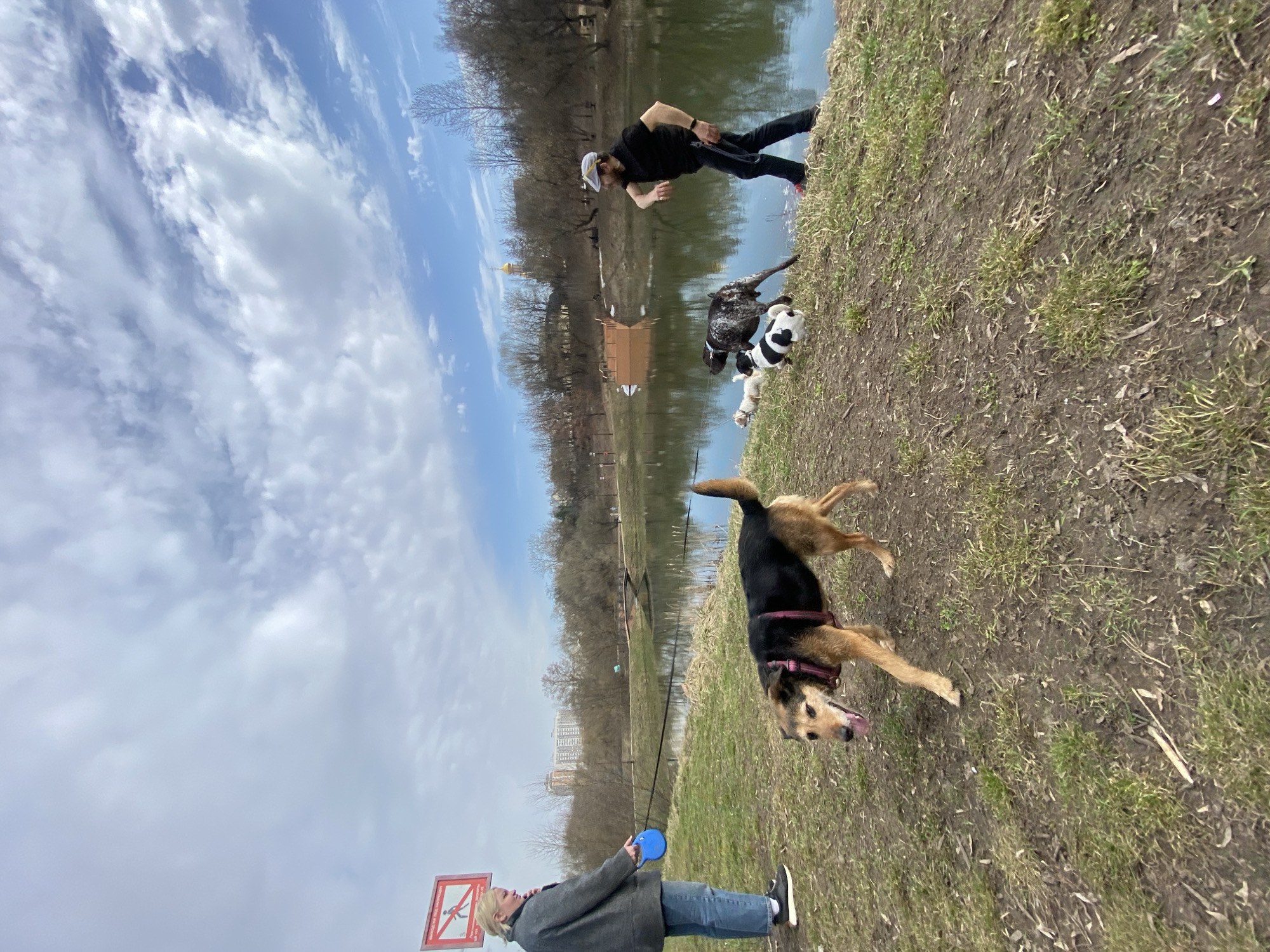 The scene is outdoors at a park, likely a public space, adjacent to a body of water in Moscow, Russia. In the foreground, a woman is standing on a grassy area, holding a blue leash connected to a medium-sized dog. The dog, tan and black in color, is mid-stride as if walking or running. The woman is wearing a gray coat, blue jeans, and dark shoes. A red and white sign is visible near the woman. Further along the bank of the water, a man is standing near the water’s edge, holding leashes to multiple smaller dogs. He is wearing a black shirt, dark pants, and a light-colored hat. The water reflects the sky, which is partly cloudy with a blue sky. The trees lining the water’s edge are bare, indicating either late fall or early spring. In the background on the opposite side of the water, are some buildings and a gold-domed building. The ground consists of grass and patches of exposed dirt.