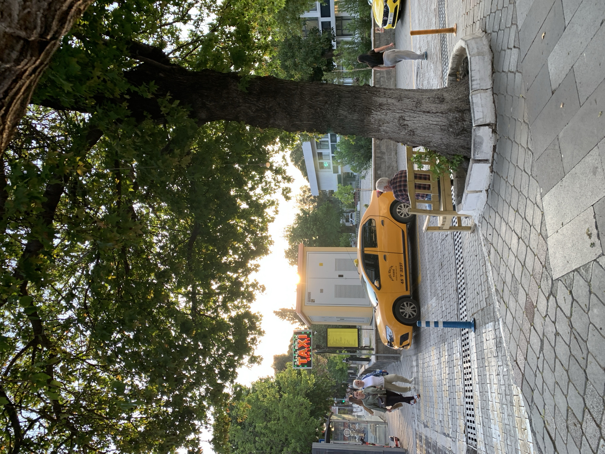 The image presents an outdoor street scene in Fethiye, Turkey, during the late afternoon or early evening, characterized by warm, golden sunlight filtering through lush green tree foliage. A large, mature tree with a thick, textured trunk dominates the left side of the frame, with its canopy extending across the top. The base of the tree is surrounded by a low, concrete planter box.
The paved sidewalk features varied patterns of gray and lighter-colored cobblestones and tiles, alongside drainage grates. Several individuals populate the scene: one person in grey pants and a black top stands near a yellow Kia Picanto. Closer to the viewer, an older man with grey hair and a plaid shirt is seated on a wooden bench next to a parked yellow taxi, appearing to be a Renault/Dacia Logan. Further down the sidewalk, a small group of people can be seen walking.
Notable objects include the yellow taxi with text on its side reading "SAHIL BİRLİK TAKSİ", "FETHİYE OTOGAR", a phone number "0 252 614 11 11", and the license plate "48 T 3237". A prominent green and black sign also displays "SAHIL BİRLİK TAXI" and the phone number "614 11 11". Other street elements include a light-colored utility box (bearing a "KASTAS" logo), a traffic light showing red, and a blue and white striped bollard. Buildings are visible in the background, completing this calm, everyday urban setting bathed in the soft light of sunset.