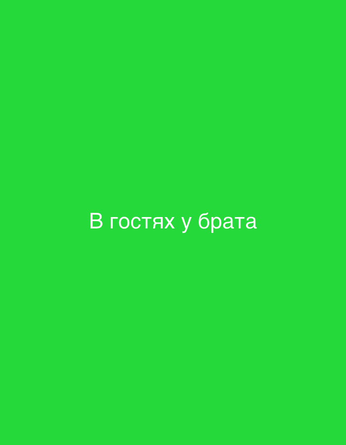 A bright green background fills the image. In the center of the screen, white text reads "В гостях у брата" which translates to "Visiting brother." There are no other objects or subjects visible in the image.