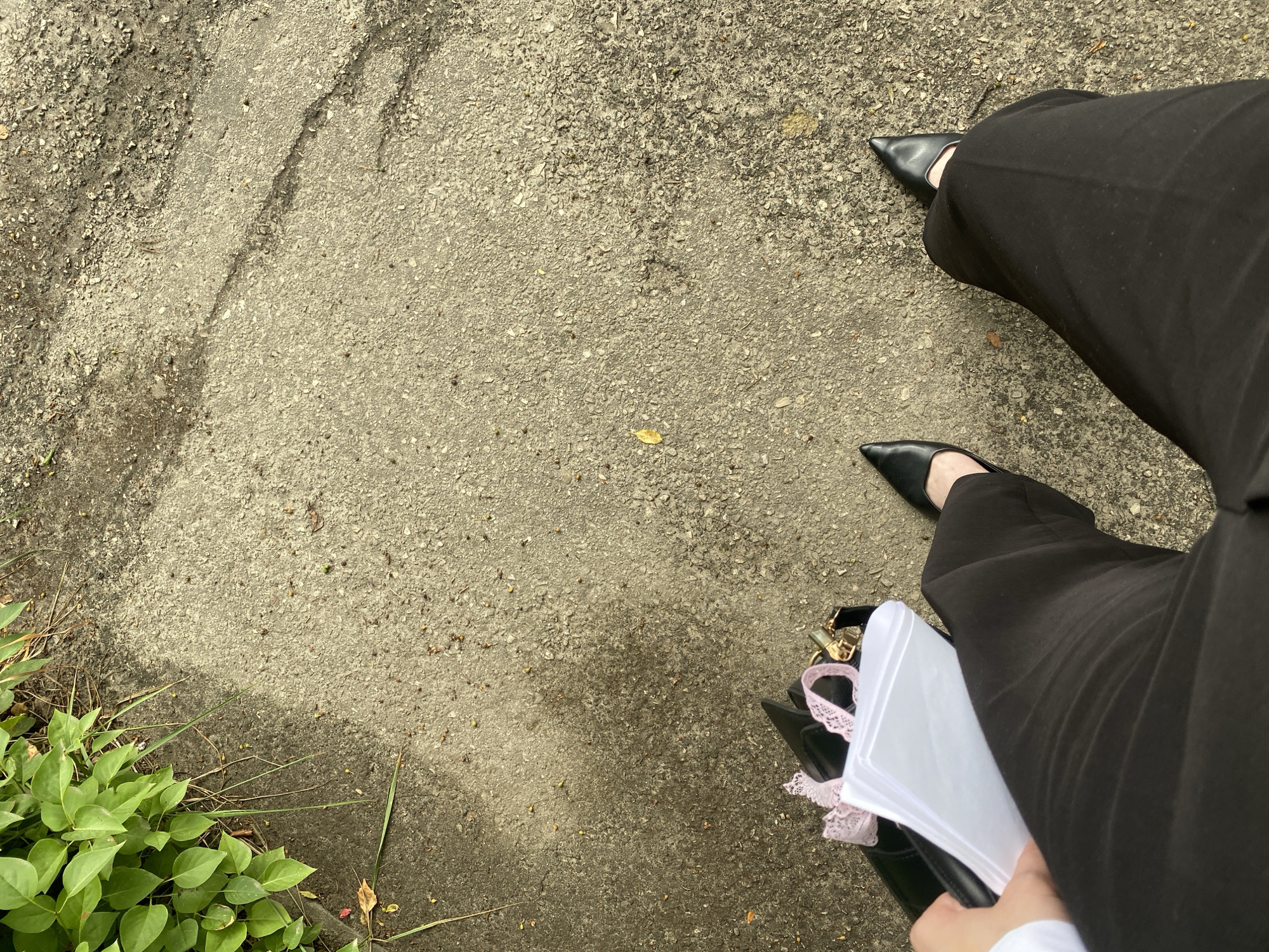 A first-person perspective shot shows a person from the waist down, standing on a cracked asphalt pathway. The person is wearing black high-waisted pants and black pointed-toe high-heeled shoes. In their left hand, they hold a black purse with a white rectangular object and pink lace accents. To the left of the pathway, lush green foliage grows, with some dry grass and small brown seed pods scattered on the asphalt. The lighting suggests it's daytime, with shadows indicating the sun is present. This scene is situated in Dyakovo, Russia.