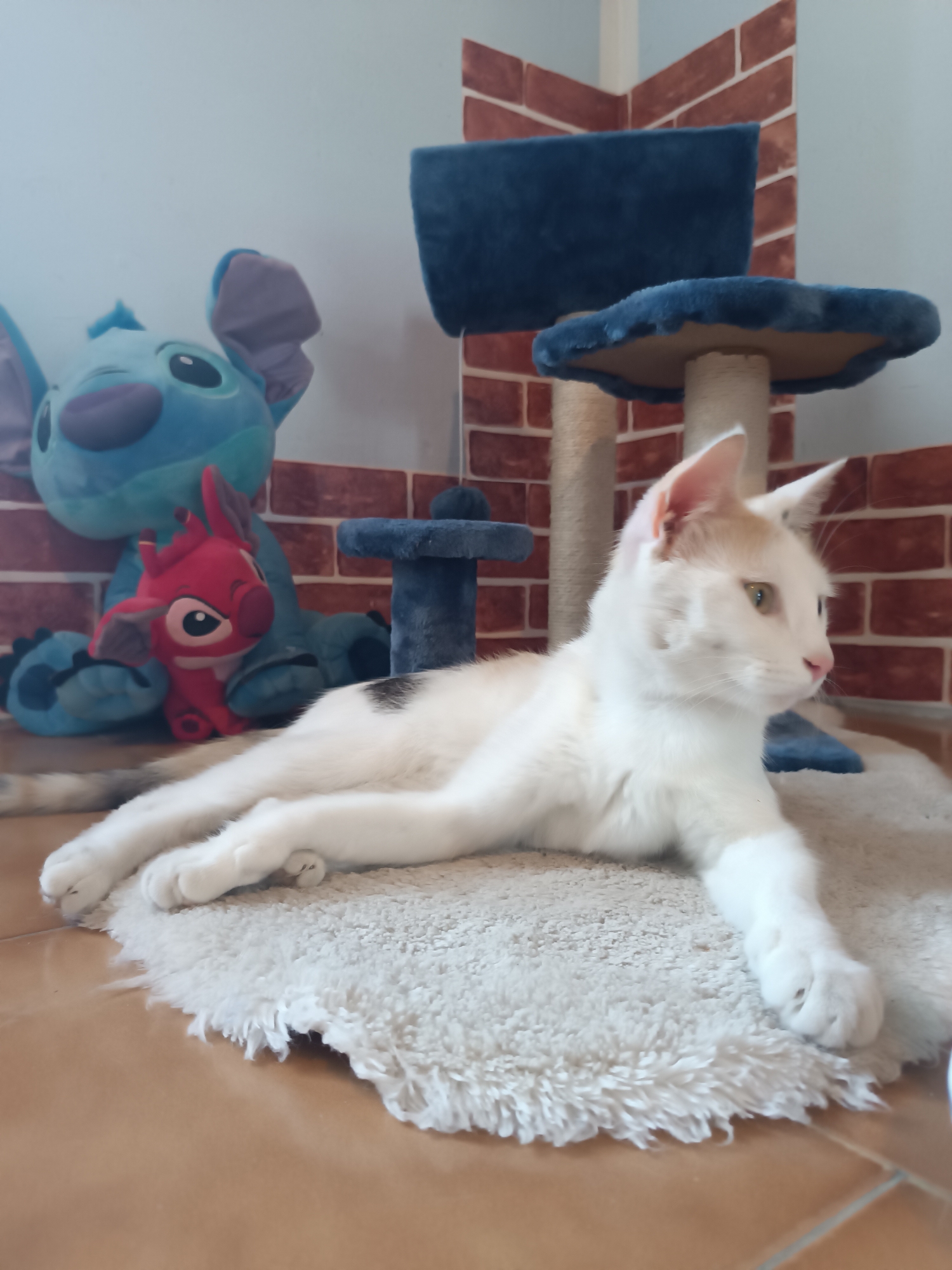 The image shows a white cat with light orange markings lying on a small, shaggy white rug on a tile floor. Behind the cat are two stuffed animals: a large blue Stitch character and a smaller red Stitch character. To the right of the stuffed animals is a cat tree with blue platforms and a scratching post. The background includes a brick-patterned wall. The location is Viadana, Italy.