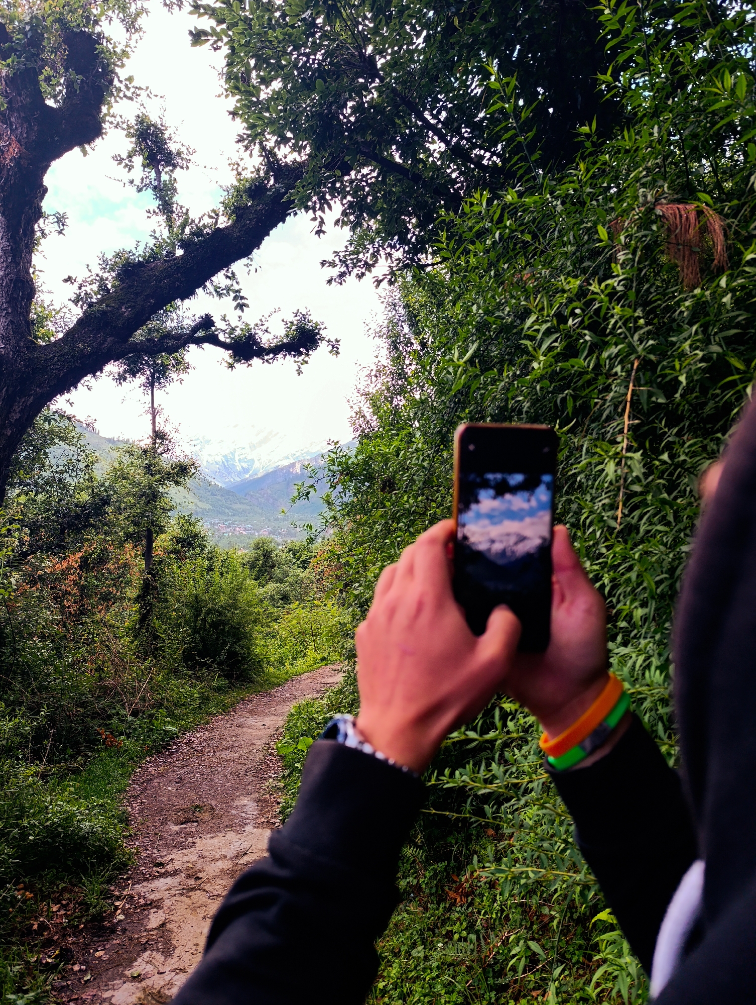 In Vashisht, India, a person's hands hold a smartphone displaying a photograph of a mountainous landscape with clouds. The person is wearing a black hoodie with colorful bracelets on their right wrist, one orange and one green. The smartphone is held in front of a lush green forest, with dense foliage on the right and a large tree branch extending from the left foreground. A dirt path, covered with fallen leaves, winds through the greenery into the distance, leading towards the mountains visible between the trees. The overall scene suggests a scenic hiking or walking trail in a natural environment.