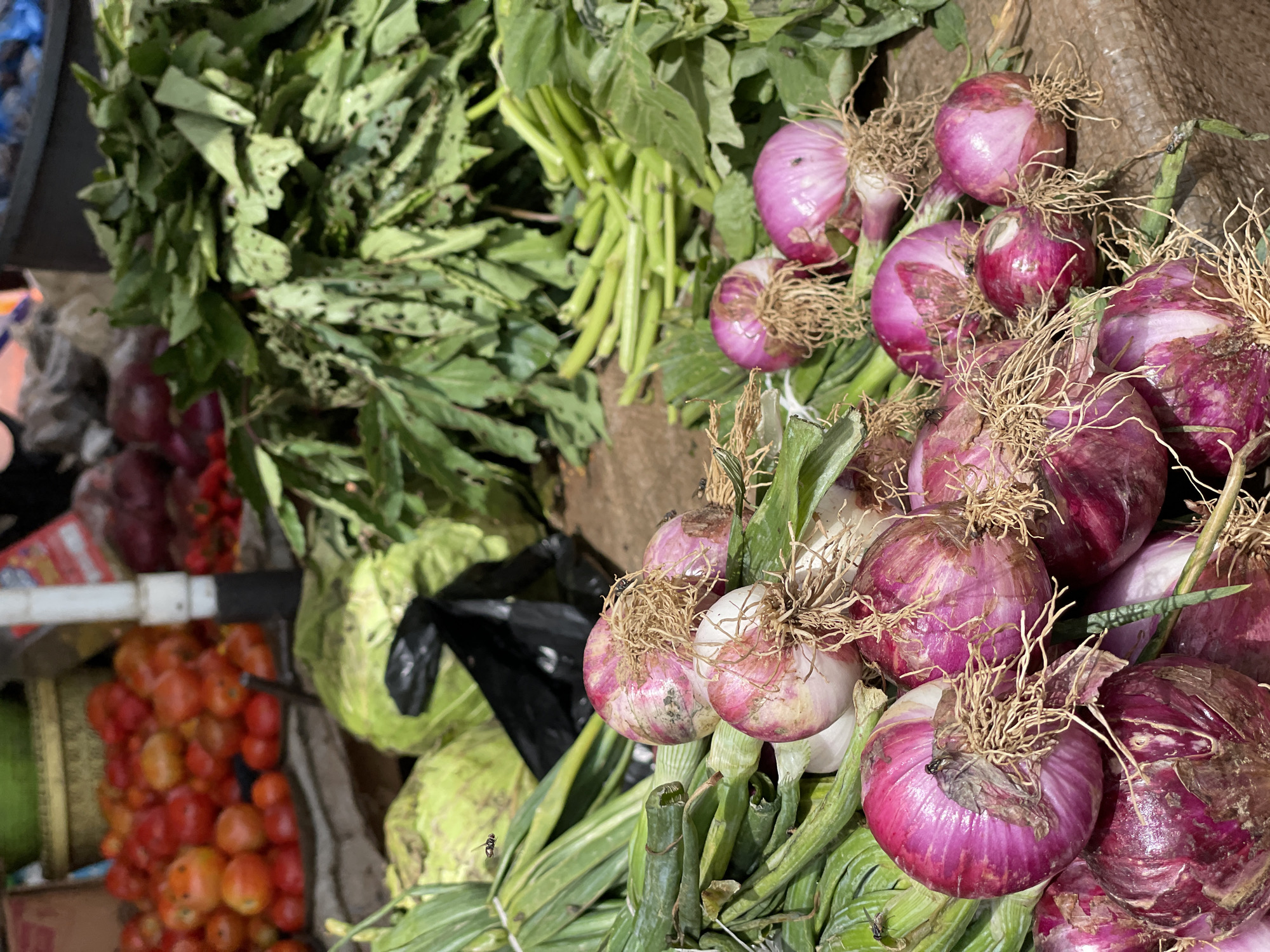 The image captures a close-up view of a produce stall, likely in Mbar, Nigeria, showcasing a vibrant assortment of fresh vegetables. In the foreground, a pile of red onions with their roots still attached are prominently displayed. Behind them, bunches of green onions and leafy greens are arranged, suggesting a bustling market environment. In the background, red tomatoes are visible, along with what appear to be cabbages. The overall impression is one of abundance and freshness, characteristic of a local market. There are no people visible in the frame, but the presence of flies suggests the food is fresh and outdoors. The lighting suggests it is daytime.