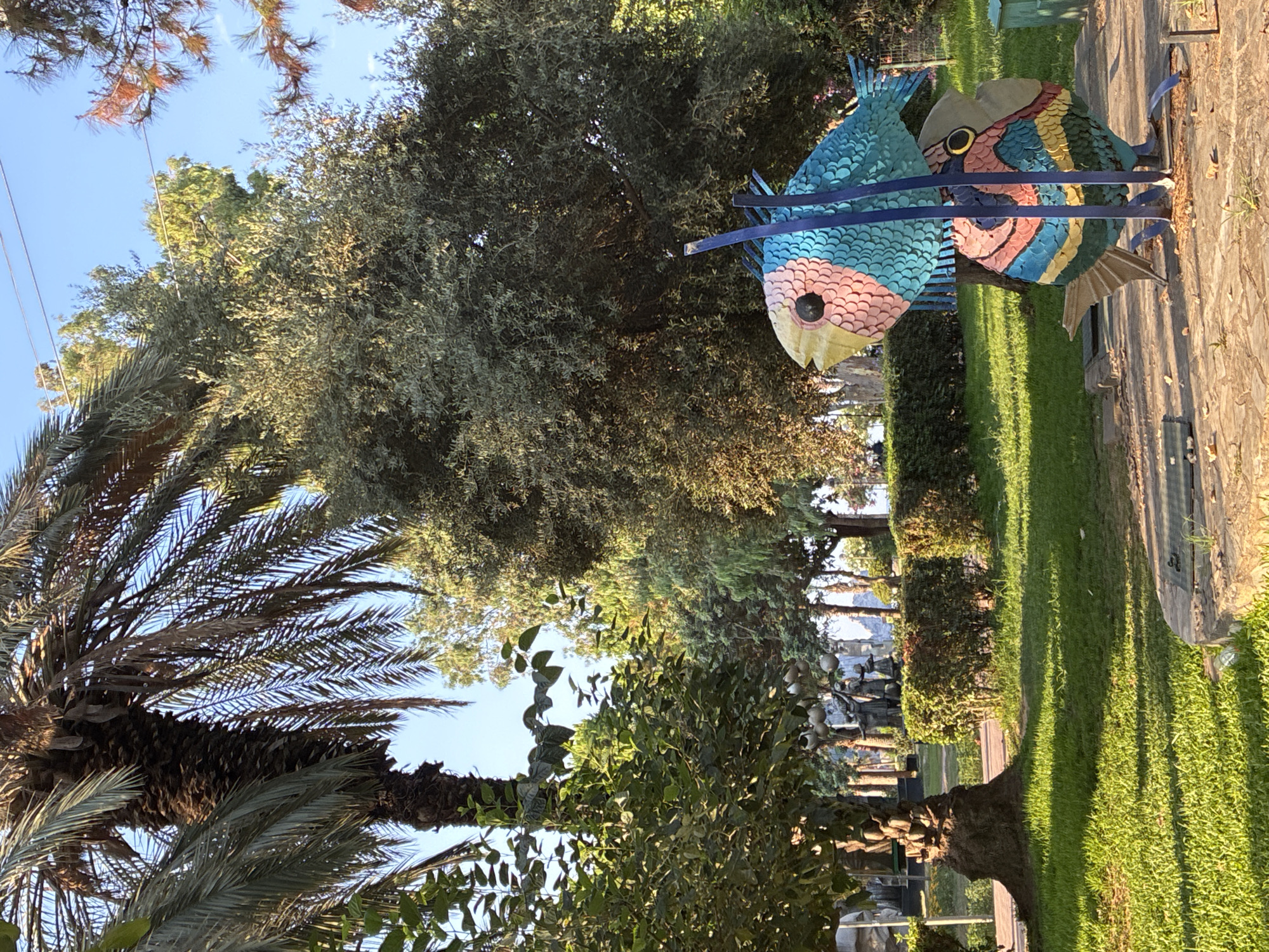 In Alanya, Turkey, a public park area features a decorative sculpture of two colorful fish made of metal. The fish are positioned vertically, one above the other, and are painted in vibrant shades of blue, pink, yellow, and green. They are supported by blue metal poles. The sculpture is situated on a paved area surrounded by green grass. In the background, lush trees and manicured hedges are visible, suggesting a well-maintained urban green space. A palm tree stands to the left of the frame, its fronds casting shadows on the grass. The sky is a clear, bright blue. The lighting indicates it is daytime, likely late afternoon due to the warm tones and long shadows. The scene is peaceful and serene.
