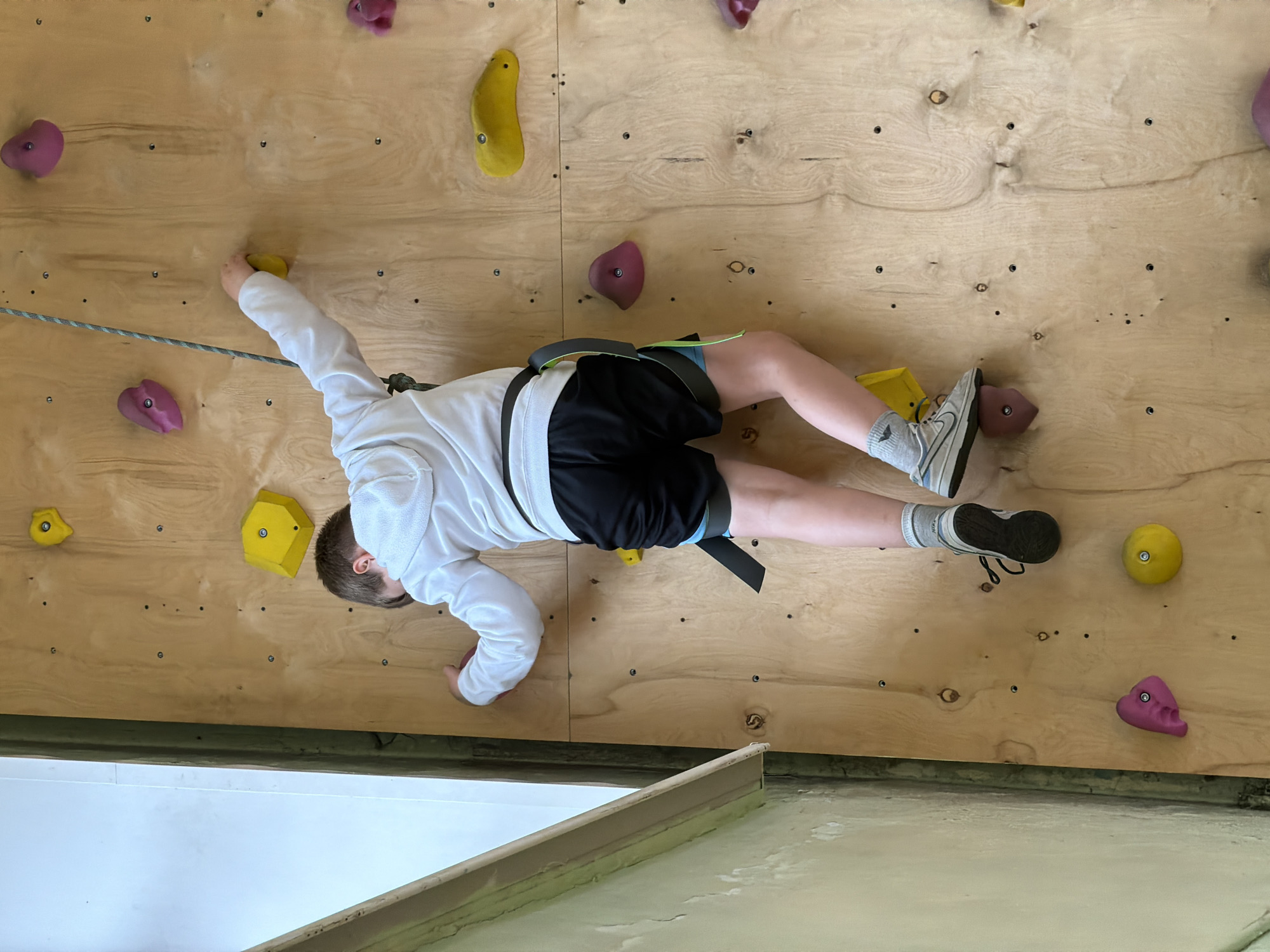 The image captures a child or young person actively engaged in indoor rock climbing on a wooden climbing wall. The individual is seen from a top-down perspective, positioned horizontally across the wall. They are wearing a white long-sleeved top, black shorts, and a climbing harness secured around their waist, from which a safety rope extends. Their feet are clad in grey socks and grey-and-white Nike sneakers, with the iconic swoosh logo visible on the left shoe.
The climbing wall is constructed from light-colored wooden panels, showing a natural wood grain pattern. Numerous small metal screws and empty drill holes dot the surface, indicating points for attaching holds. The wall features a variety of colorful climbing holds in shades of pink, yellow, and purple, differing in shape and size. The climber's hands and feet are placed on these holds, demonstrating concentration and physical effort. The left hand grasps a yellow hold, while the right hand is on a pink one. The left foot is securely positioned on a yellow hold, and the right foot on a purple hold.
The lower portion of the image reveals a padded floor or landing area, suggesting a safe indoor climbing environment. The overall setting appears to be a well-lit indoor facility, likely a climbing gym or a recreational center in Izhevsk, Russia.