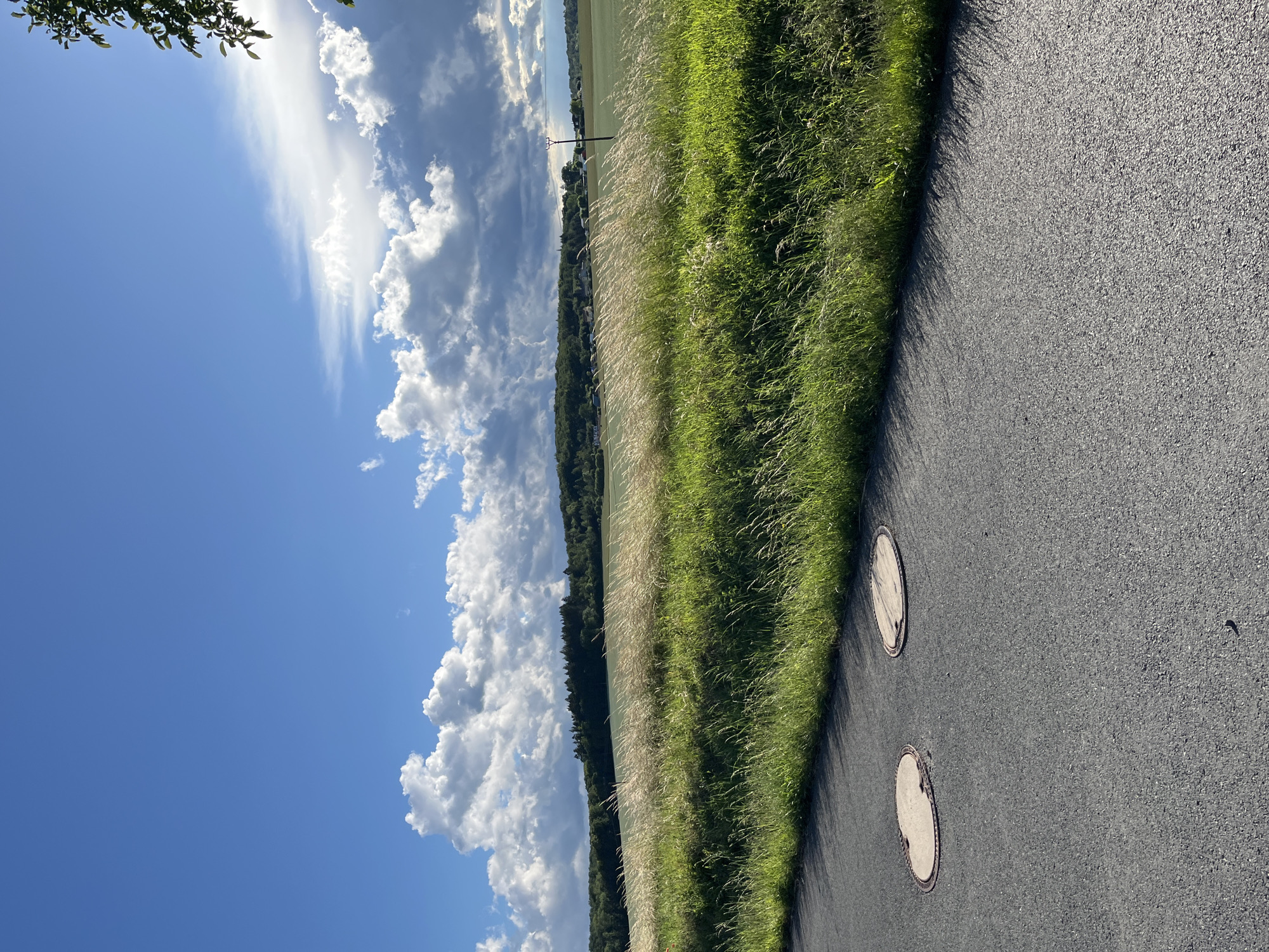 A sunlit, rural landscape features a paved road in the foreground with two oval manhole covers. Beyond the road, a field of tall, golden grass is visible, followed by a gently rolling hill covered in a dark green forest. A distant line of trees marks the crest of the hill, with a few scattered buildings and a utility pole visible in the mid-ground. The sky is a vibrant blue, punctuated by dramatic, puffy white clouds that cast shadows on the landscape. The overall impression is one of a bright, serene summer day.