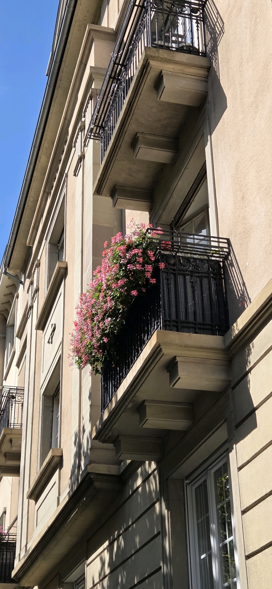 The image shows a close-up, low-angle view of the facade of a light beige building, possibly an apartment building, in Strasbourg, France. The building features multiple balconies with ornate black metal railings. One balcony in the foreground is overflowing with a dense mass of vibrant pink flowers. The architectural style appears to be classical or Art Deco. Sunlight casts shadows from the balconies and possibly from nearby trees onto the facade. The sky above is a clear, bright blue. A second, smaller balcony with similar railing is visible further up the building on the left. Windows are visible behind the railings, some with white frames. The detailed rendering of the floral display suggests it is a deliberate and attractive embellishment to the building's exterior.