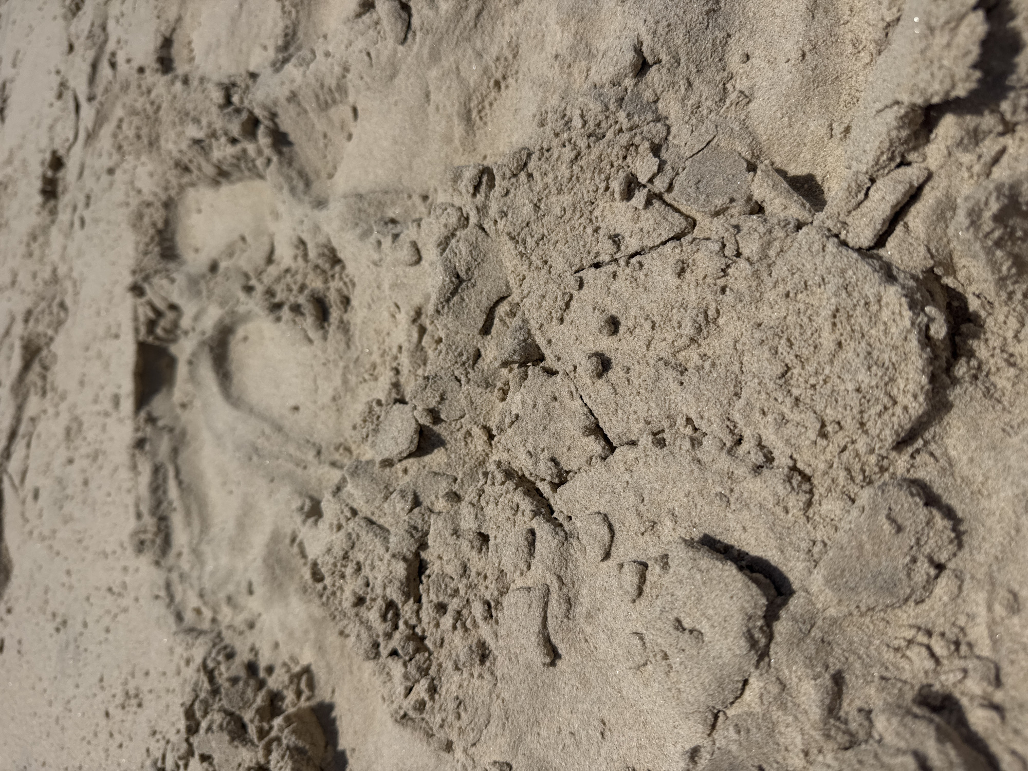 The image shows a close-up view of sand, likely on a beach. There are indentations in the sand, possibly footprints or marks from an object. The texture of the sand is granular, with varying levels of compaction and loose grains. There is a slight variation in color across the sand surface due to light and shadows. The location is specified as Bat Yam, Israel; therefore, the sand is likely from a beach there.