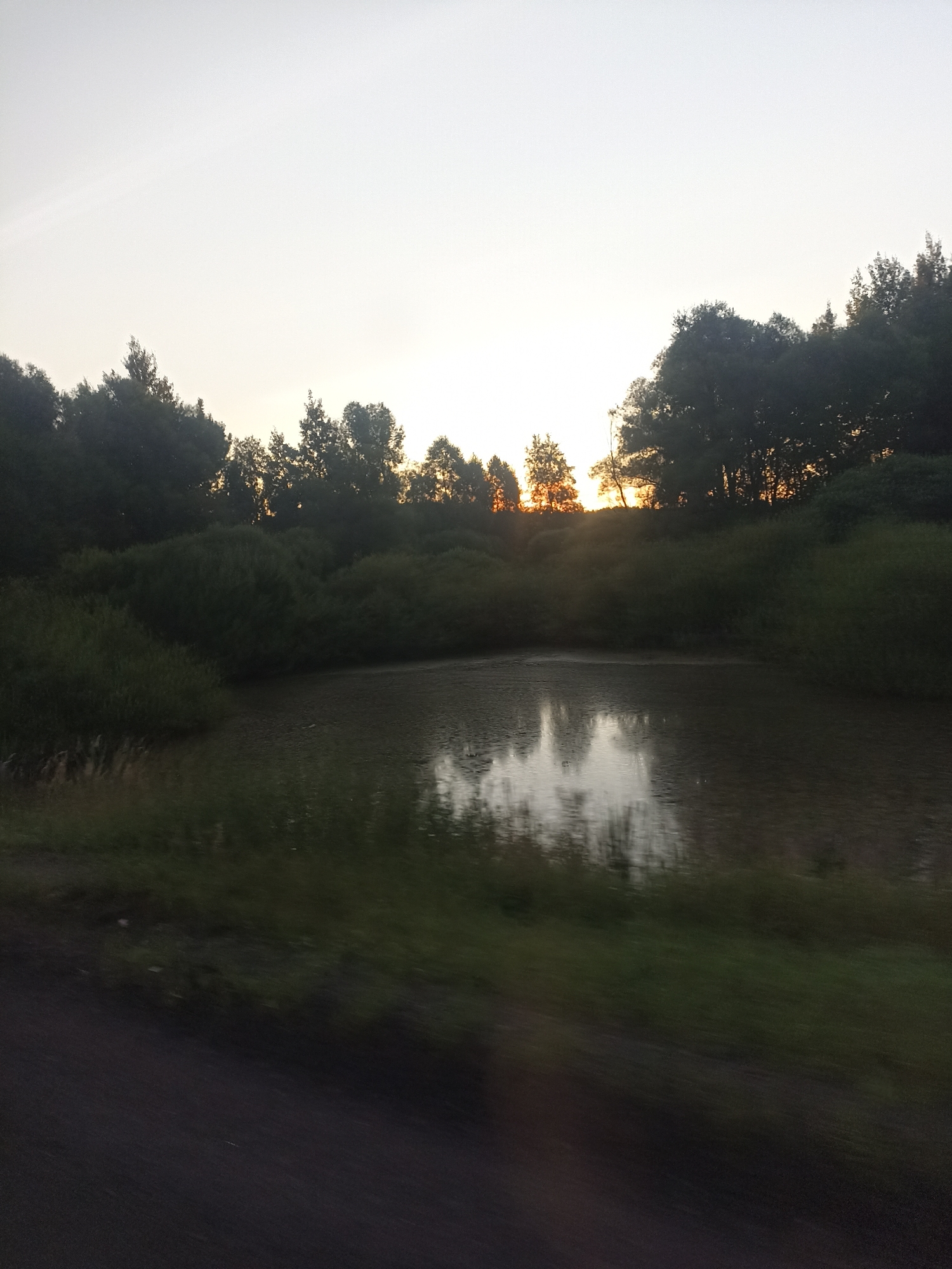 This image captures a serene natural landscape at dusk, likely near Nashchekino, Russia. A calm body of water, possibly a pond or small lake, dominates the foreground, reflecting the soft light of the setting sun. Dense foliage and trees line the far bank of the water, creating a dark, silhouetted backdrop. The sky above is a pale, hazy grey, with the sun's warm orange glow just visible peeking through the trees on the horizon. The foreground includes a dark, blurry area that could be a road or path, and more vegetation. The overall impression is one of tranquility and the quiet beauty of nature at the end of the day.