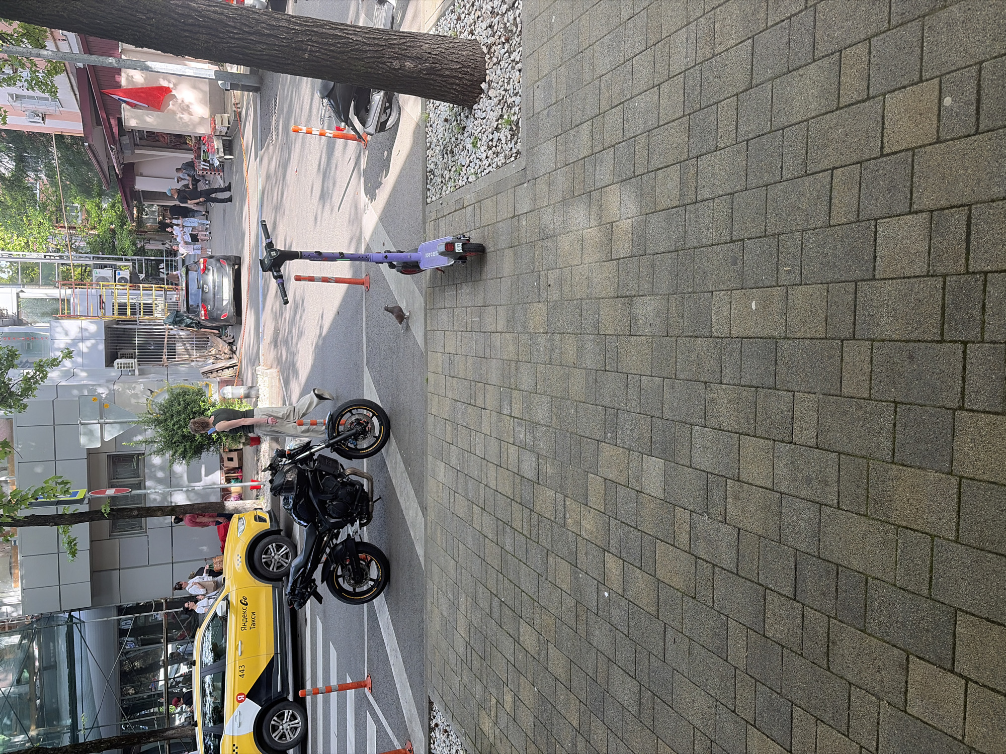 The image captures a vibrant street scene in Sochi, Russia, on a bright, sunny day. The perspective is slightly elevated, looking down onto a street and adjacent paved sidewalk.
In the foreground, a neatly tiled gray and tan sidewalk stretches diagonally across the right side of the frame. A large tree trunk extends from the top edge, its base surrounded by white decorative pebbles. On the sidewalk, a purple electric scooter, bearing the text "DO-BIKE" on its rear, is parked. A small bird, possibly a pigeon, walks near the scooter.
Adjacent to the sidewalk, on the asphalt street, a black motorcycle is prominently parked. Behind it, a yellow Yandex.Go taxi is visible, featuring the "Яндекс Go" logo, "TAXI" (in Cyrillic: ТАКСИ), and the number "443" on its side. Several orange and white traffic barriers or cones are placed along the curb.
Numerous people are visible throughout the scene, walking and standing. One person in light pants and a dark top is near the motorcycle. Further down the street, a group of people is seen near buildings, some appearing to be waiting or conversing. A dark car is parked further along the street, and a bus is partially visible on the far left. Buildings line the street, some displaying construction scaffolding or red banners. The overall impression is that of a bustling urban environment.